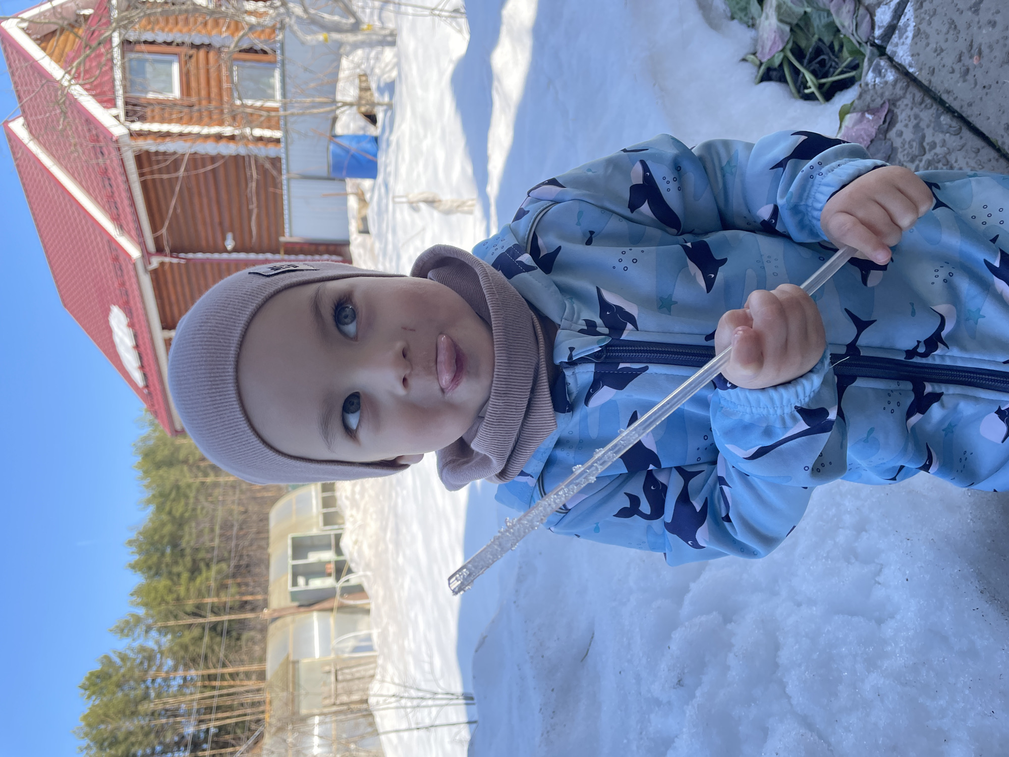 A young child in a light blue snowsuit with orca whale patterns is standing in the snow, holding a clear icicle. The child is wearing a beige beanie and a matching neck gaiter, and has their tongue slightly protruding. In the background, there is a wooden house with a red roof, a greenhouse, and trees. The scene is set in Zav'yalovo, Russia, as indicated by the geotag. It is a sunny day with clear blue skies.