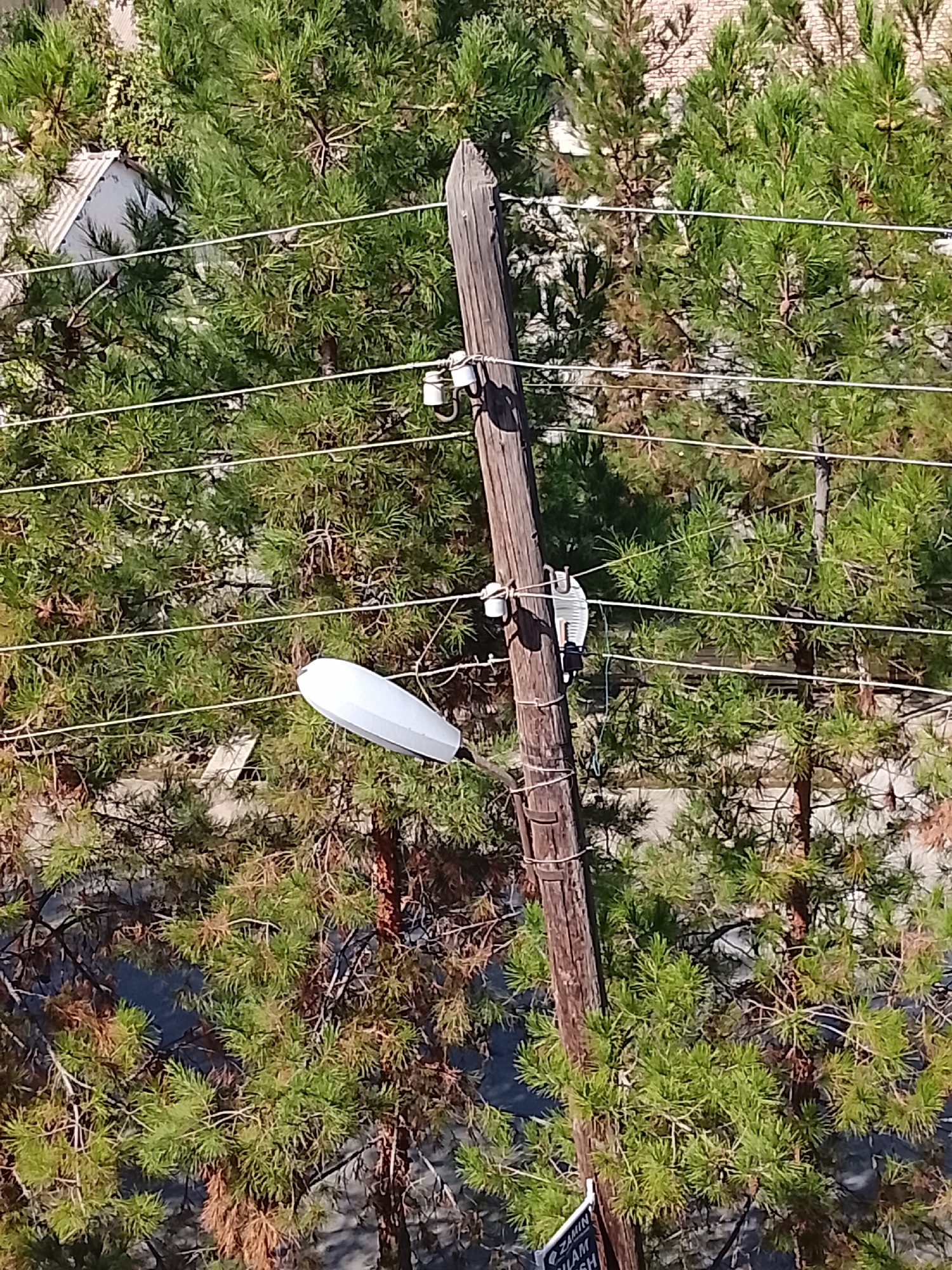This is a medium-shot, high-angle aerial photograph of a residential area in Fergana City, Uzbekistan, featuring a utility pole amidst dense green pine trees. The pole, made of weathered wood, stands vertically in the center of the frame, supporting multiple electrical wires. Attached to the pole are porcelain insulators and a street light fixture, a pale white, elongated shape. Behind the pole and wires, the foliage of pine trees dominates the scene, interspersed with glimpses of a grey, angled roof of a building peeking through the branches. The background hints at more buildings with brick facades. The lighting suggests it is daytime, with shadows cast by the trees and pole.