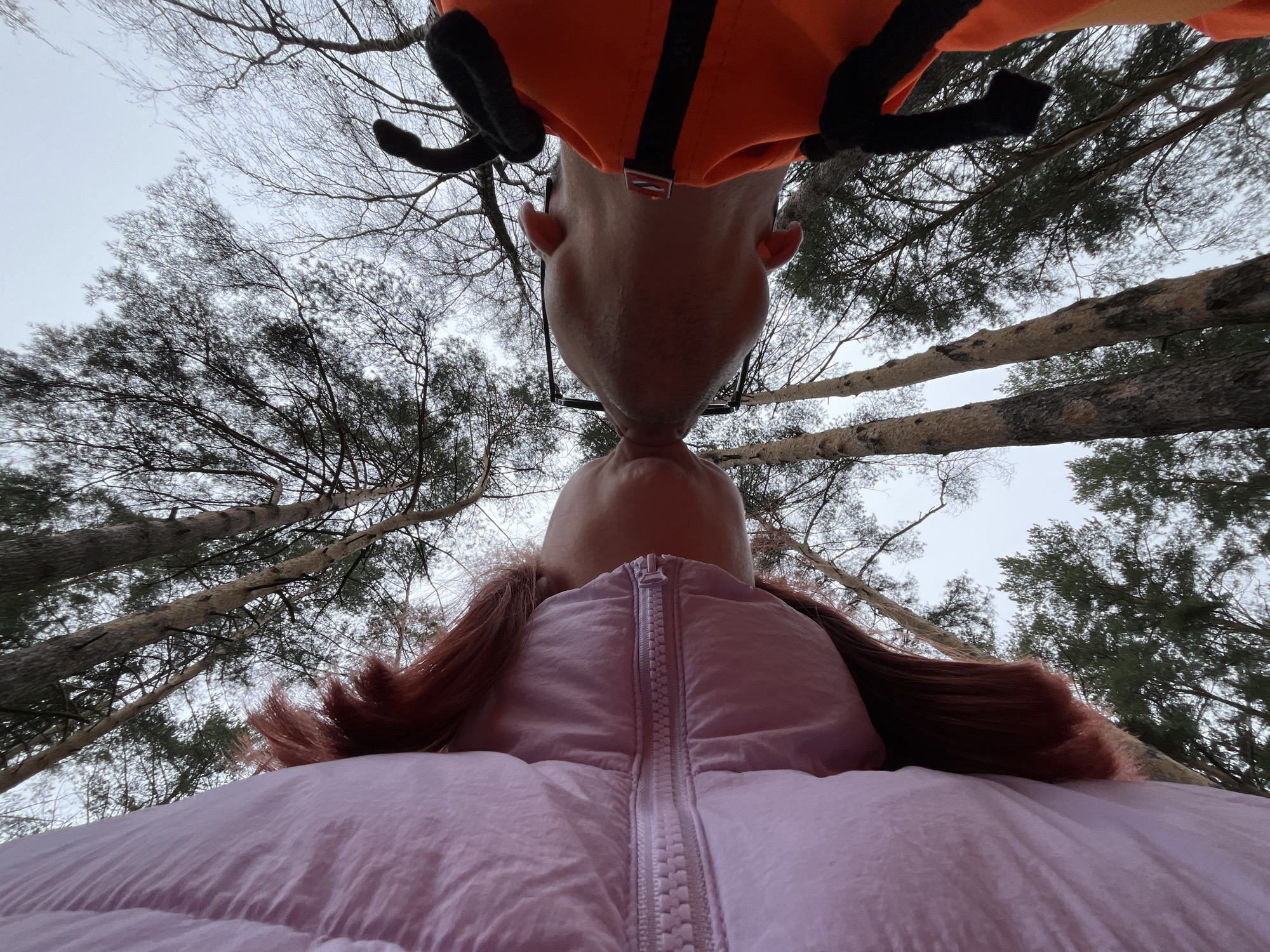 An extreme low-angle shot captures two individuals sharing a kiss outdoors, looking up towards them and the tree canopy. The person on top, wearing an orange hooded jacket with black straps and glasses, is seen from below the chin up, leaning down to kiss the person below. The other individual is wearing a pink puffer jacket, with reddish-brown hair visible around their neck and shoulders.
The scene is set in a wooded area or forest, with tall trees towering above the couple. Some trees have bare, intricate branches, suggesting deciduous varieties in a dormant season, while others are evergreens with dense foliage. The sky is overcast and appears bright grey, indicating daytime without direct sunlight. The heavy jackets worn by both individuals suggest cool or cold weather. The unique perspective makes the trees appear to converge towards the top of the frame. There is no visible text in the image. The location is Chaikovsky, Russia.