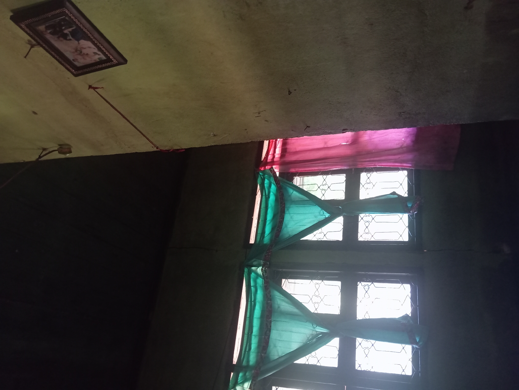 This image captures an indoor scene in a dimly lit room in Rejosari, Indonesia. The focal point is a window covered by two distinct sets of curtains. On the left, two teal-colored curtains are draped, creating a ruffled effect. These curtains are adorned with a patterned trim. To the right of the teal curtains, a pink sheer curtain is visible, allowing some light to filter through and casting a pink hue.
The window itself appears to be divided into multiple panes, with decorative metalwork on the exterior, suggesting it's a casement or louvre window. Beyond the window, the bright light indicates an outdoor environment, likely daytime.
The room's interior walls are rough and textured, painted in a muted yellowish-green on the right side of the image. A framed photograph hangs tilted on this wall, depicting what appears to be a group of people. A thin red string is attached to the frame and extends downwards, fastened to a point near the floor.
The ceiling is dark and appears to be made of wood or a similar material. A thin wire extends from the ceiling on the right side, possibly for electrical purposes. The overall impression is of a humble, possibly older, dwelling.