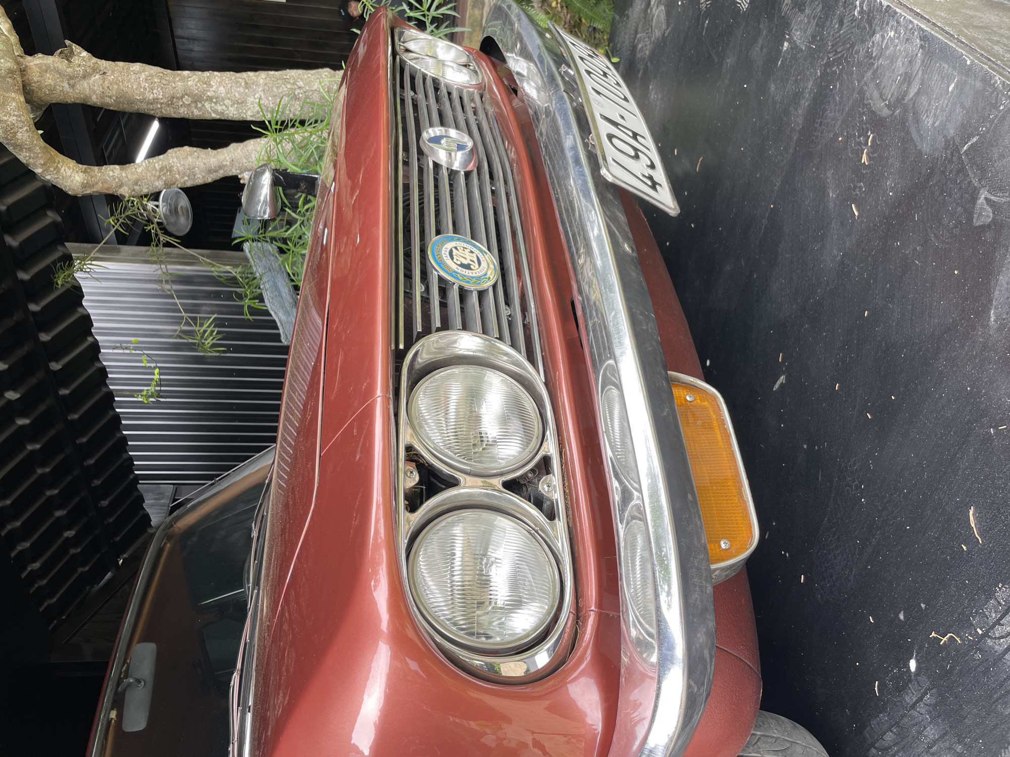 In Cam Ly - Đà Lạt, Vietnam, a vintage red car is parked under a covered area with a corrugated metal roof. The car's front is visible, featuring dual round headlights with chrome bezels, a chrome grille with horizontal bars, and a circular emblem with blue and gold accents. A license plate that reads "49A-10988" is affixed to the chrome bumper. To the right of the car, two trees with rough bark rise towards the covered ceiling, with some greenery present in the background. The ground beneath the car is dark and appears to be a textured surface, possibly asphalt or painted concrete, with some scattered debris.