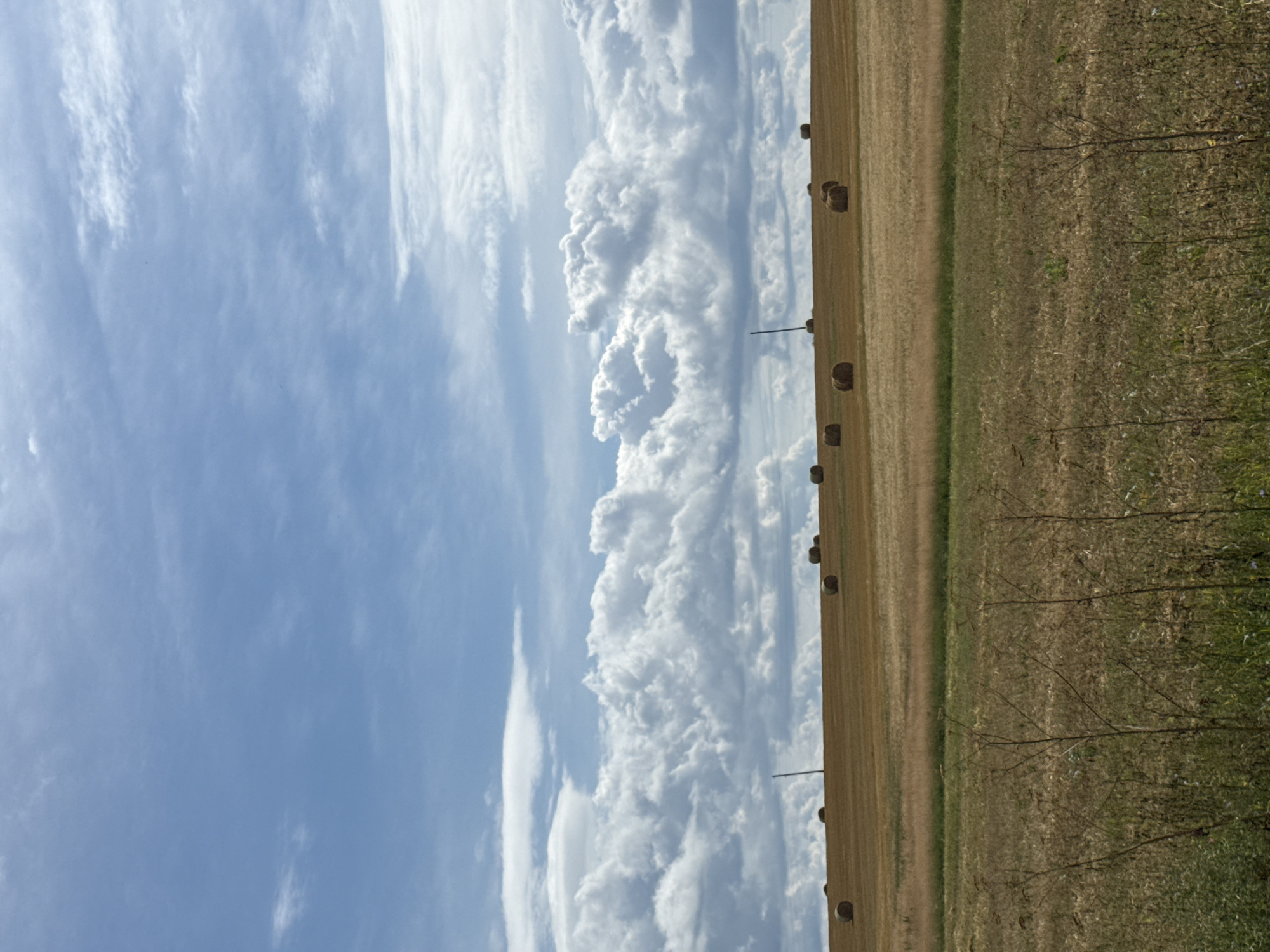 The image shows a rural landscape with a harvested field and hay bales under a partly cloudy sky. In the middle ground, there are several round hay bales scattered across a golden-brown field. A thin, dark pole stands vertically in the field, suggesting it may be a marker or part of a fence. The foreground features a different field with dry, thin vegetation and some green growth. The sky is a pale blue with scattered white clouds, some of which are large and puffy, indicating fair weather with some cloud cover. The scene appears to be located in a rural area, consistent with the city of Nylga, Russia, which is known for its agricultural activities. There are no people or animals visible in the image. The overall impression is one of a harvested agricultural landscape during the day.