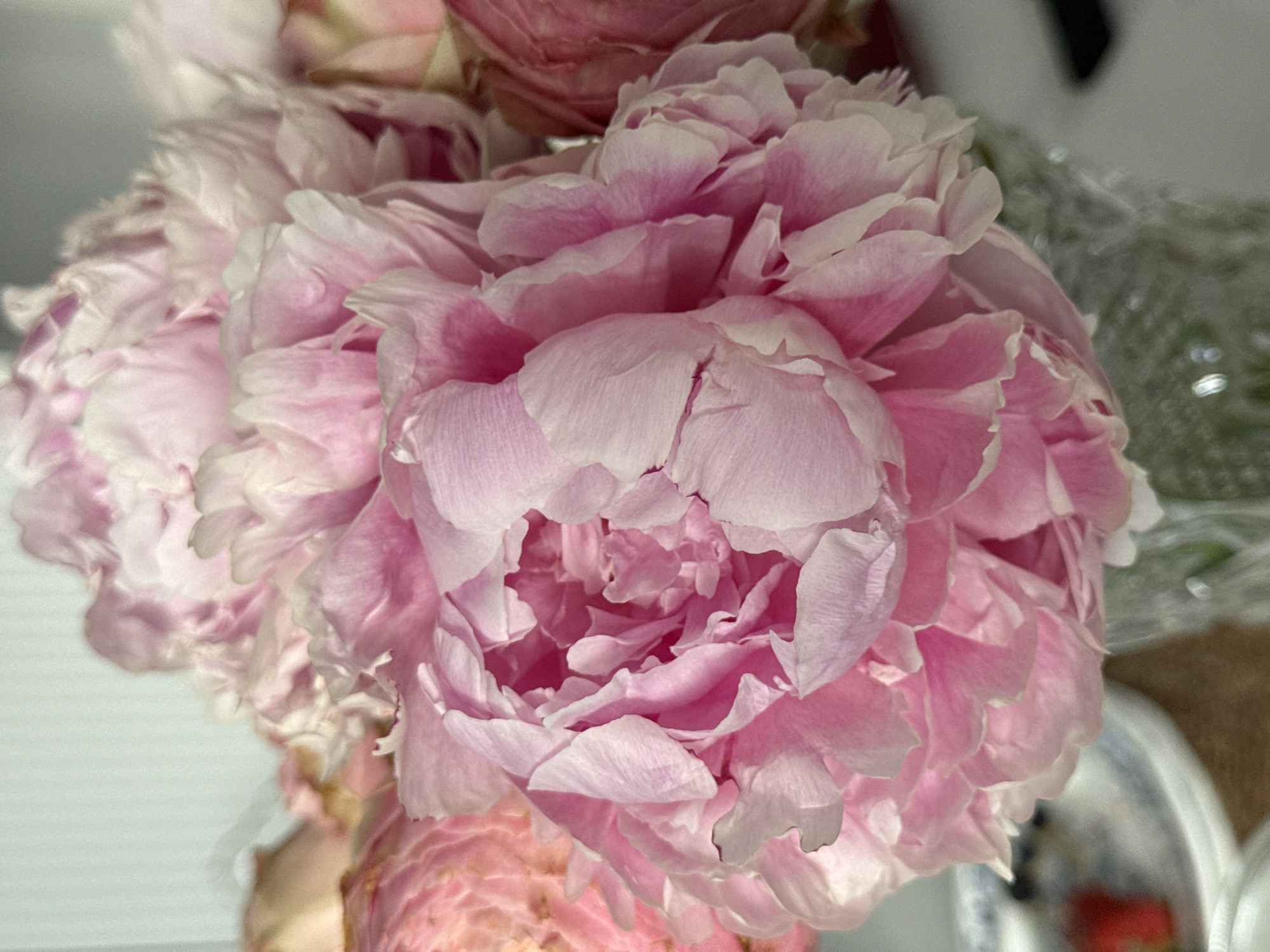 The image shows a close-up view of a bouquet of pink peonies. The focus is on the layered petals of the flowers, with a soft, diffused light highlighting their texture. The background is blurred, suggesting a shallow depth of field. There is no indication of the location being in Moscow, Russia, or any mention of people, city, or environmental clues.