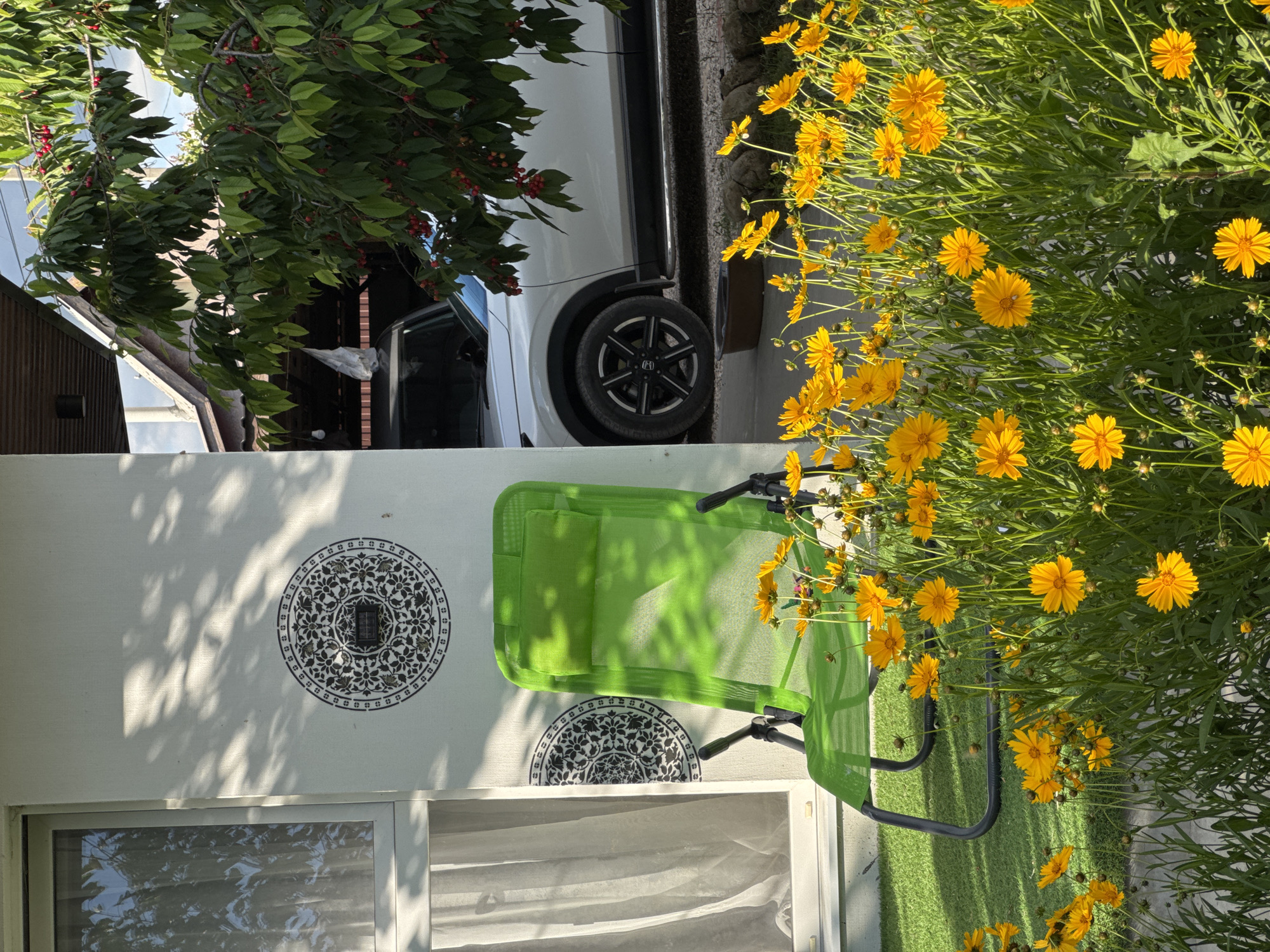 The image depicts an outdoor scene with a focus on a bright green lawn chair situated in front of a light-colored wall. The wall is adorned with two circular, dark decorative stencils. To the left of the chair, a window with sheer curtains is visible. In the foreground, a dense bed of vibrant yellow flowers fills the lower portion of the frame. Behind the lawn chair and extending into the background, a portion of a white SUV is visible, partially obscured by the foliage of a tree laden with red berries. The scene appears to be bathed in sunlight, casting shadows from the leaves onto the wall and the chair. The overall impression is a serene, sunlit outdoor area, possibly a yard or patio, in a location within Dobrovske settlement, Ukraine. There are no people or animals visible in the image.