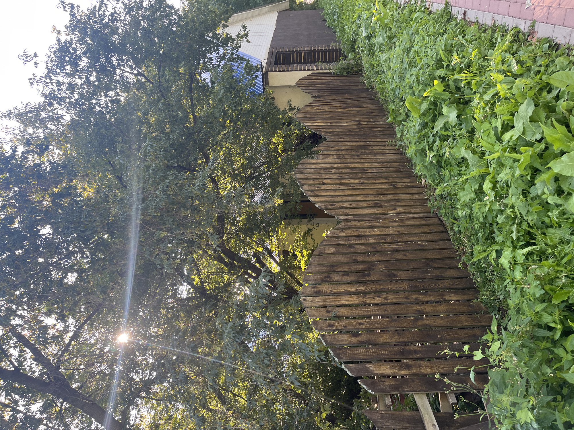 This image depicts a residential property with a wooden fence and a small building. The fence is made of vertical wooden planks and has a scalloped top edge. It runs along the side of a grassy area covered in lush green vegetation. Behind the fence, a building with a white upper section and a light brown lower section is visible, topped with a blue corrugated roof. A portion of the building appears to be constructed with wooden beams. Large trees with dense foliage dominate the background, with sunlight filtering through the leaves and creating lens flares. The scene is outdoors, likely in a suburban or rural setting, with elements of nature and a man-made structure. There are no people or animals visible in the image. The ground to the right of the grassy area appears to be a paved pathway. The image does not contain specific landmarks or details that would allow for definitive identification of its location within the city of Ufa, Russia.