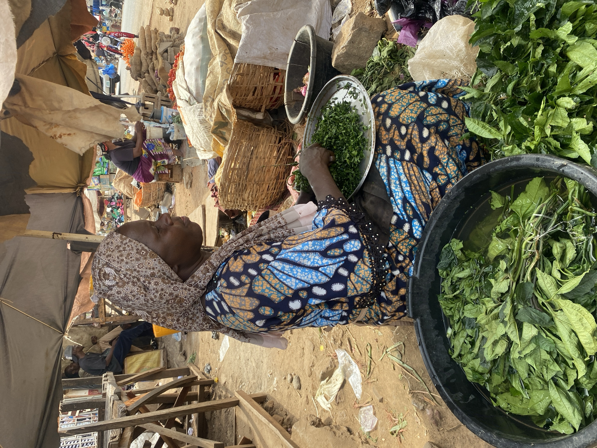 This image depicts an outdoor market scene in a city in Rido, Nigeria. In the foreground, a dark-skinned woman is seated on the bare dirt ground, facing right in profile. She wears a brown, beige, and white patterned headscarf and a dark blue, light blue, and orange patterned long-sleeved dress. Her hands are engaged with a large silver tray holding a pile of finely chopped green leafy vegetables.
To her lower left, a large black plastic basin filled with water contains fresh green leafy vegetables. More loose green vegetables are scattered on the ground near her. To her right, a black plastic bucket holds several red onions and other items. Behind her, against a backdrop of rough dirt, are large woven baskets, white and beige sacks, and assorted rocks.
In the mid-ground, under a dark tarp canopy to the left, two men are seated on wooden structures. One man, wearing a grey baseball cap, is visible in profile. To the right, under a lighter-colored tarp, another woman is seated, facing right, near piles of produce including root vegetables (possibly yams or cassava), orange carrots, and red tomatoes.
The environment is characterized by unpaved ground, temporary market stalls constructed from wood and tarps, and general market debris. In the background, further along what appears to be a street, vehicles including a car and motorcycles, along with more people, suggest a busy commercial area. The scene is illuminated by natural daylight.