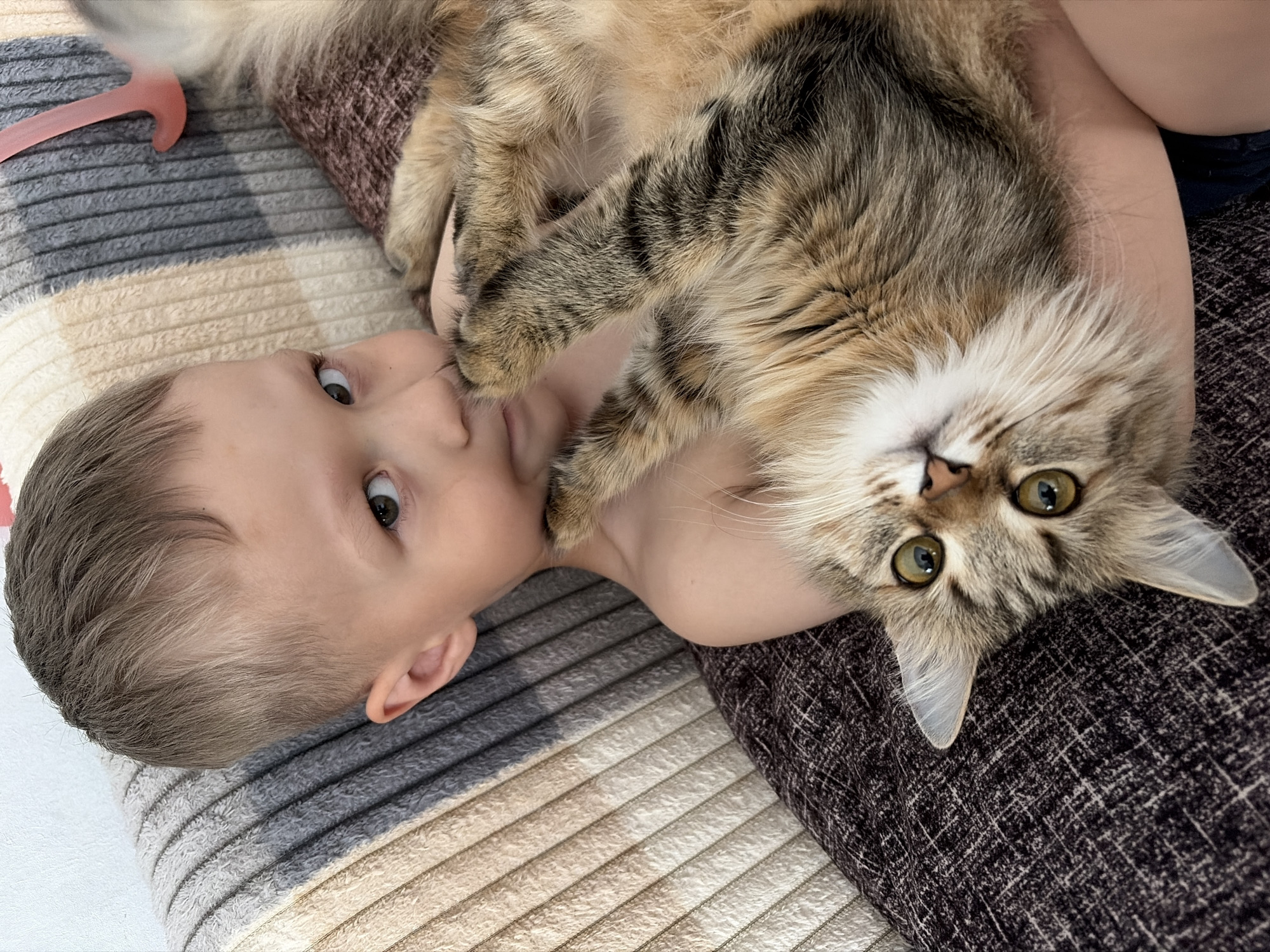A young boy, appearing to be around 4-6 years old, with short brown hair and light skin, is lying on a sofa, holding a cat. The boy's head is tilted to the side, and he is looking towards the camera with a curious expression. His bare shoulders are visible. The cat, a fluffy tabby with green eyes and a brown and gray striped coat, is cradled in the boy's arms, also looking at the camera. Its paws are resting on the boy's chest. The sofa is covered with a patterned throw blanket in shades of beige, gray, and white. In the background, a pink object, possibly a toy or a handle, is visible. The image appears to be taken indoors, likely in a residential setting. The lighting is soft and natural. The scene suggests a moment of quiet intimacy between the boy and his pet. The location is not specified in the image.
