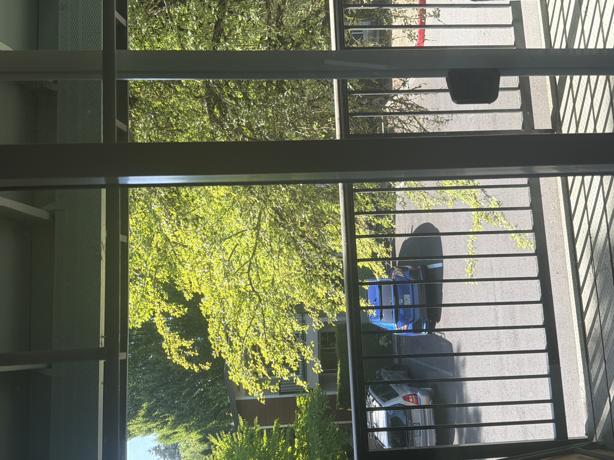 A sunny outdoor daytime scene is viewed through a balcony railing, looking towards a parking lot and a building. Two cars are visible: a silver SUV on the left, and a blue hatchback on the right, facing away from the viewer. The cars are parked on asphalt. Behind the cars, a multi-story building with brown siding, white trim, and balconies is partially obscured by lush green trees. The leaves of the trees are bright green and appear to be in full bloom, indicating it is likely springtime or summer. The sky is a clear blue. The scene is in Portland, United States of America.