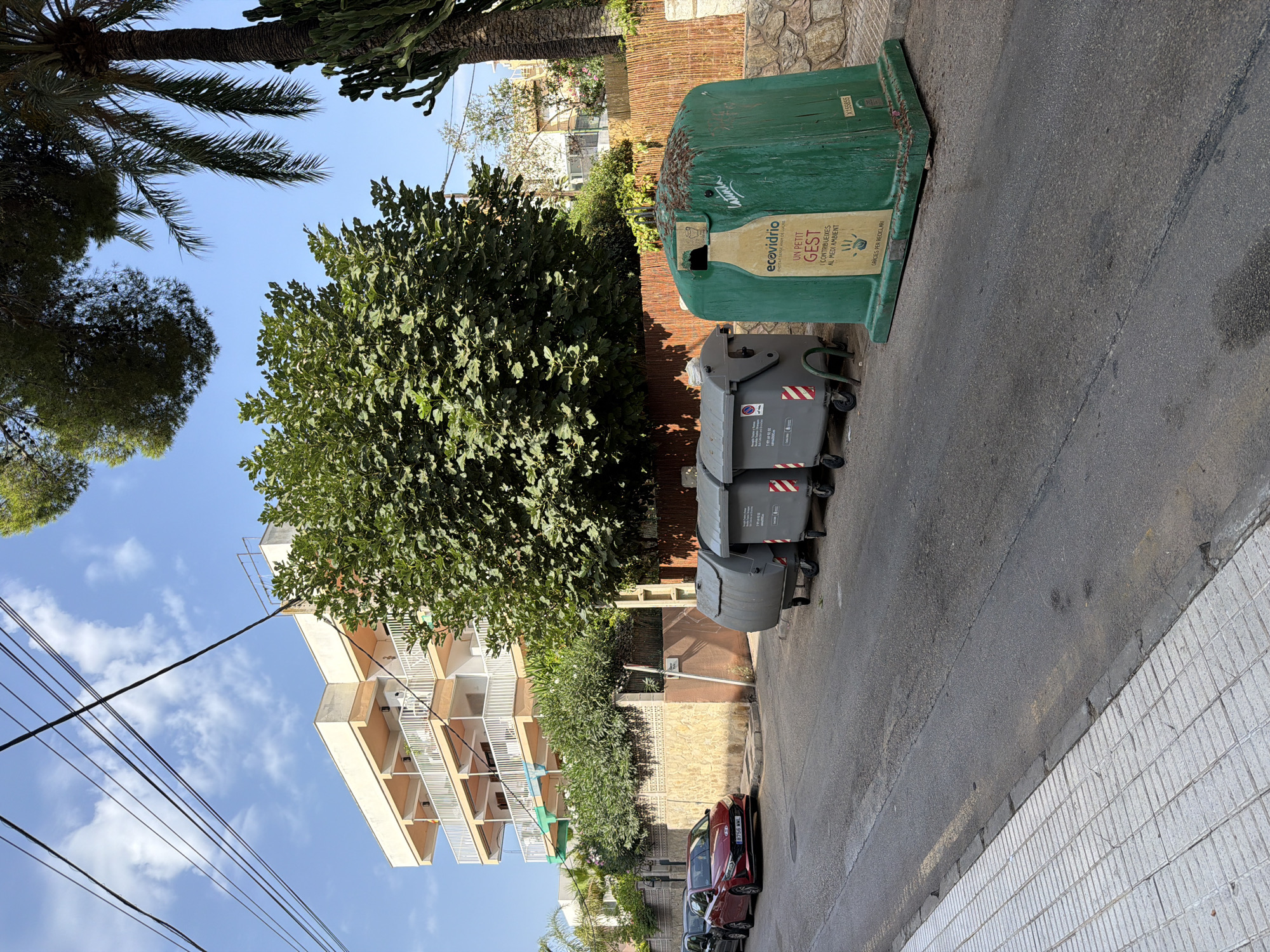 In Palmanova, Spain, a street scene unfolds with a red car parked on the right side of the road. Next to it, several large gray trash bins stand in a row, followed by a green glass recycling bin. The recycling bin features text and an image of a bottle. A stone wall with a bamboo fence runs along the background. Behind the wall, lush green trees and a multi-story building with balconies are visible under a clear blue sky with scattered clouds. Power lines are strung across the upper portion of the image.