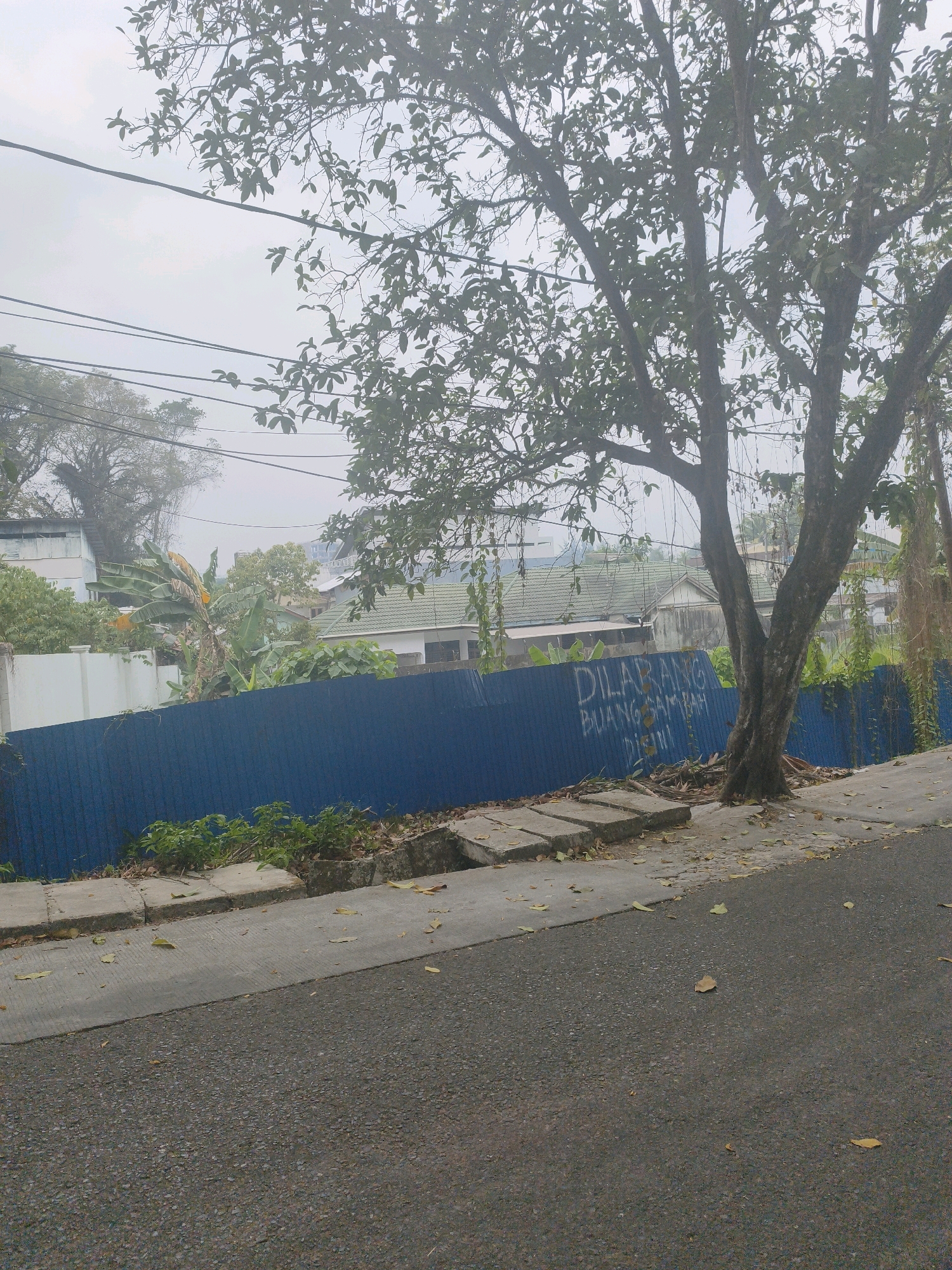 The image depicts a street scene in Samarinda, Indonesia, under an overcast sky. A large tree with sparse foliage stands prominently on the right side of the frame, its branches reaching towards the sky. In the background, a blue metal fence runs horizontally, behind which are several buildings with green tiled roofs and some vegetation, including banana trees. A white wall is visible to the left of the blue fence. White power lines crisscross the sky above the scene. On the blue fence, text in white appears to read "DILARANG BUANG SAMPAH DI SINI," which translates to "DO NOT DUMP TRASH HERE." The foreground shows a paved road and a concrete sidewalk with several square concrete slabs laid on it, some of which appear displaced. Fallen leaves are scattered on the sidewalk and the road. The overall atmosphere is somewhat hazy, suggesting damp or misty conditions. No people are visible in the image.