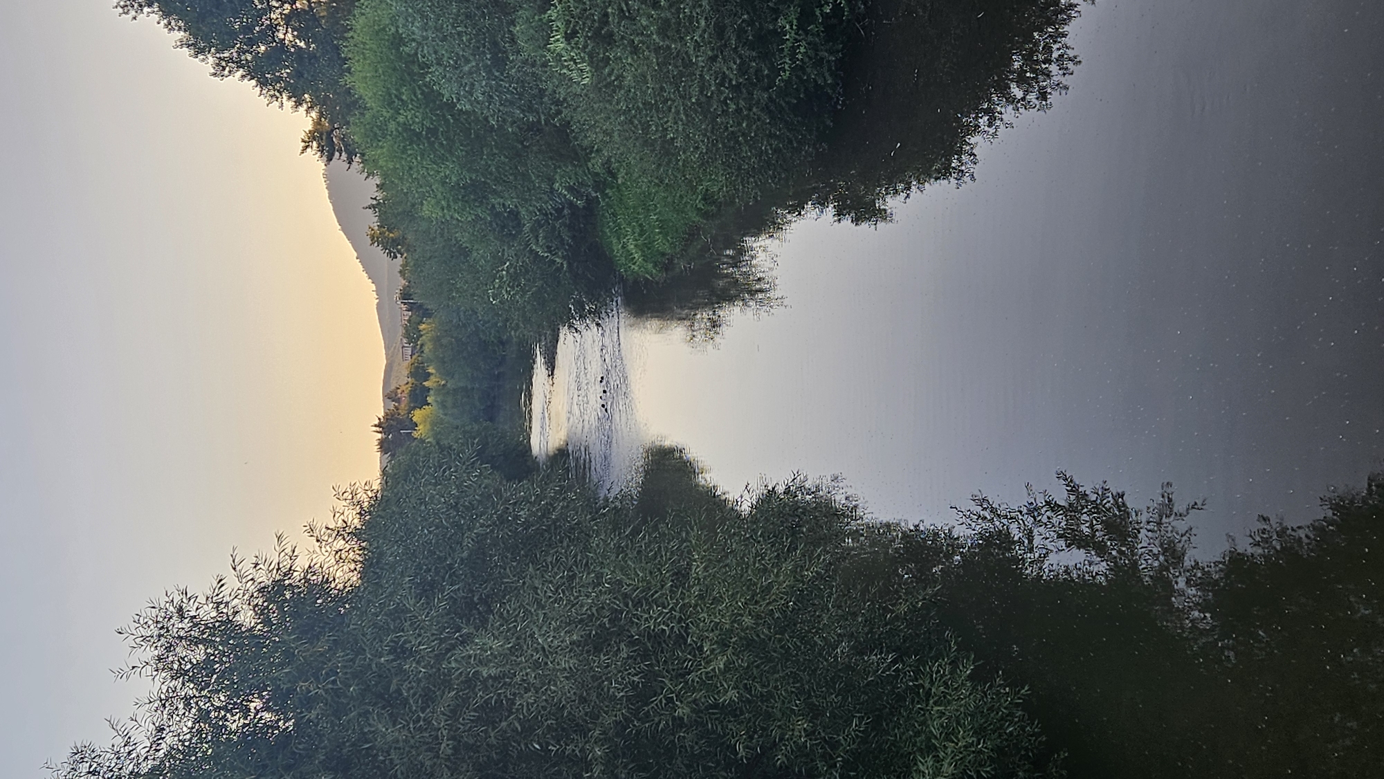 The image shows a river flowing through a green, tree-lined area. The sky is clear and appears to be at sunset or sunrise, with a gradient of pale orange and yellow. The river is calm, with reflections of the trees and sky on its surface. In the distance, there are hills or mountains. The vegetation on either side of the river is dense and leafy, suggesting a natural or park-like setting. There are no people or obvious structures visible in the immediate scene. The overall impression is one of a peaceful, natural landscape. Given the context of Prešov, Slovakia, this could be a scene along the Sekčov River, which flows through the city and is often bordered by greenery.