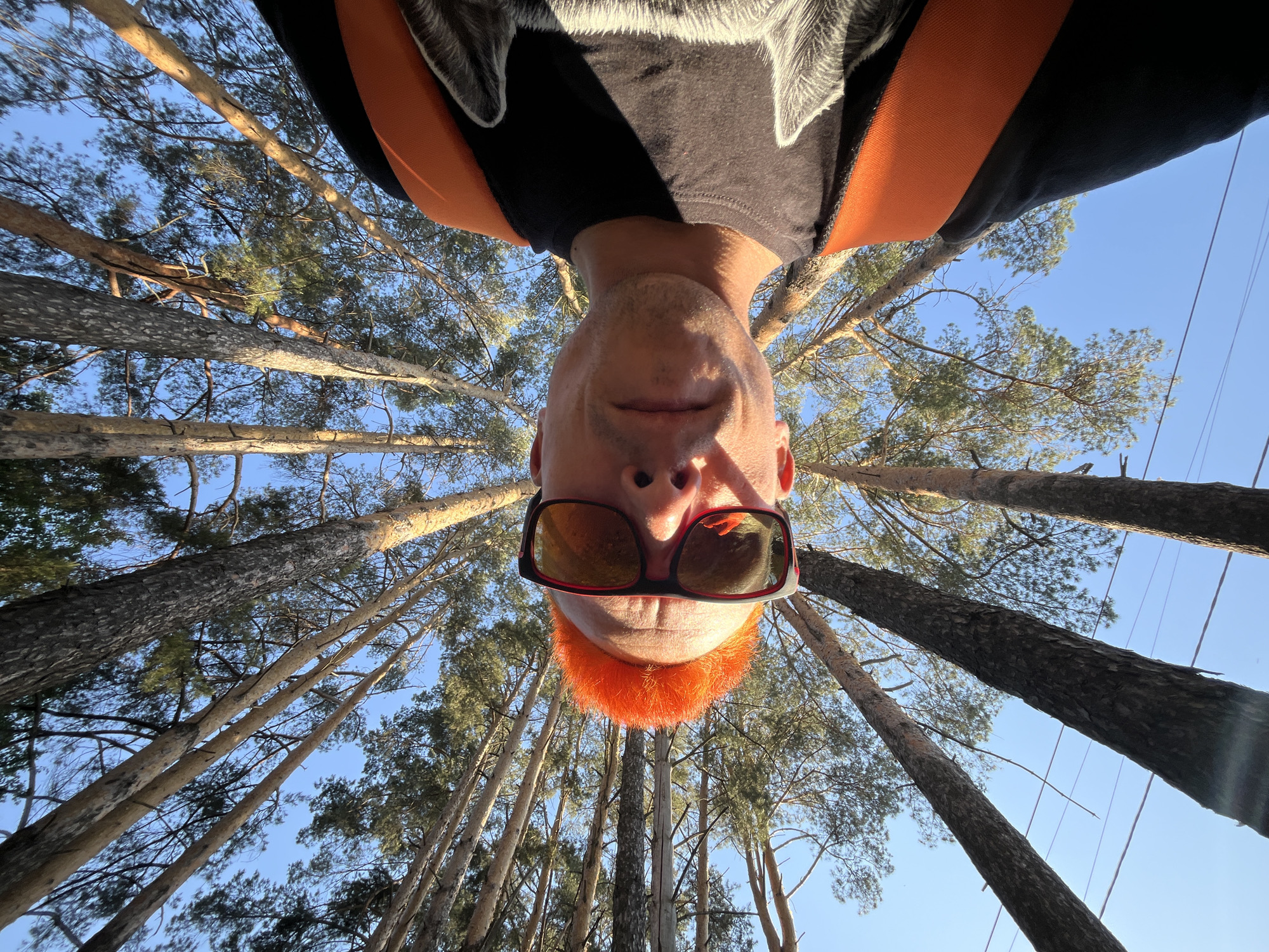 A low-angle, perspective-distorted photograph depicts a man with an orange beard and sunglasses, standing amidst tall trees. The camera is positioned looking upwards, with the man's head at the center, oriented upside down. The trees surround him, appearing to converge towards the top of the frame. The sky is visible between the trees. The man wears a t-shirt under a shirt with a wolf design and an orange strap. The location is outdoors, seemingly in a forest area, consistent with Chaikovsky, Russia, based on the landscape.