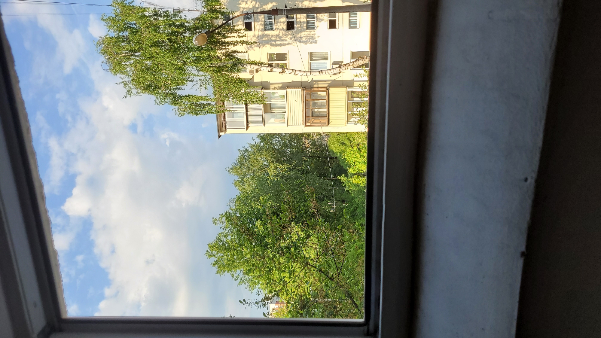 The view from an open window reveals a building with balconies and windows, partially obscured by a birch tree. The sky is visible with scattered clouds. The window frame is in the foreground. Located in the city of Unknown, Unknown.