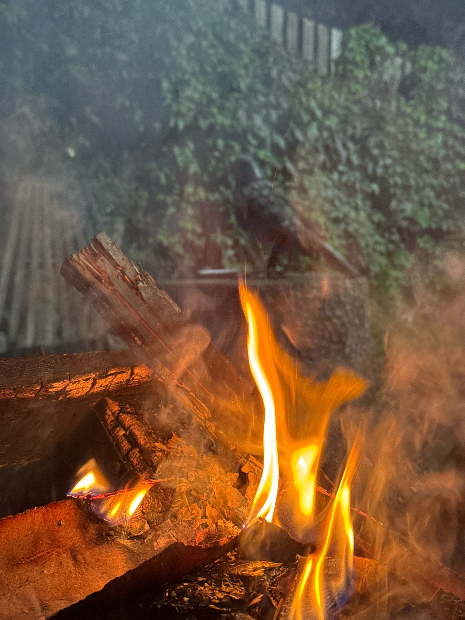 The image depicts a bonfire with flames in the foreground, illuminating pieces of wood. In the background, a blurred silhouette of a bird is visible against a backdrop of greenery and a wooden fence. The scene is set in Kempelevo, Russia, indicating an outdoor location. There are no discernible people or specific interactions shown in the image.