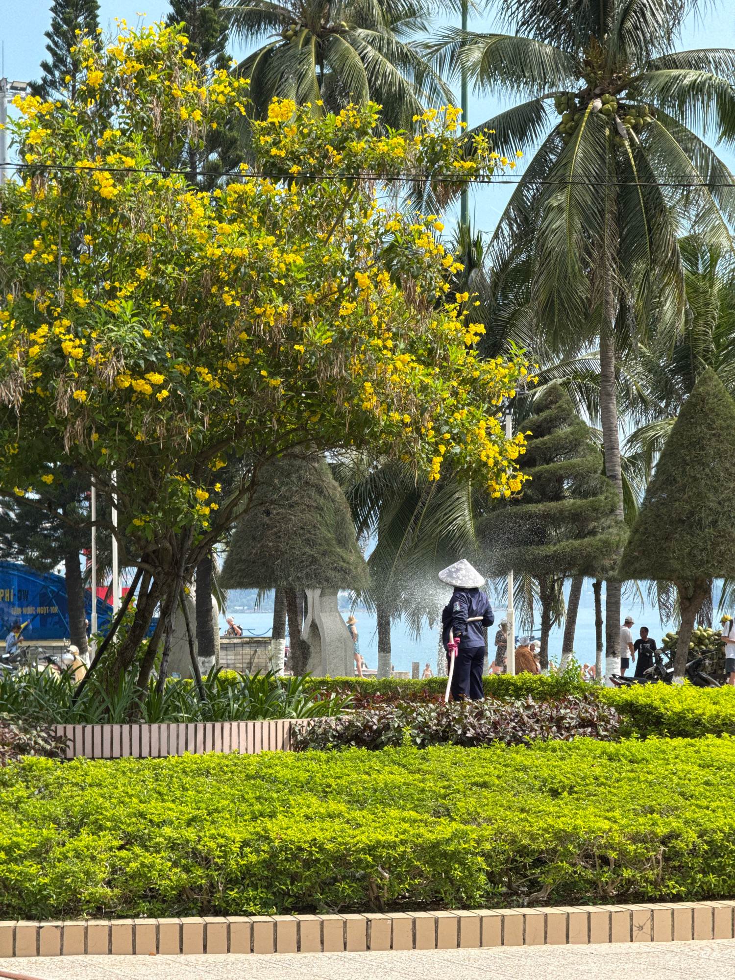 The image depicts a sunny day in Nha Trang, Vietnam, likely on a beachfront promenade. A person in a dark uniform and a conical hat is watering lush green bushes with a hose, surrounded by tropical foliage including blooming yellow flowers and tall palm trees. In the background, the turquoise ocean is visible, with a few people strolling along the beach. There are also several sculpted evergreen trees and a monument-like structure. The scene is orderly, with well-maintained landscaping, suggesting a public area focused on beautification and leisure. The presence of motorbikes and people in casual attire indicates a lively urban environment.