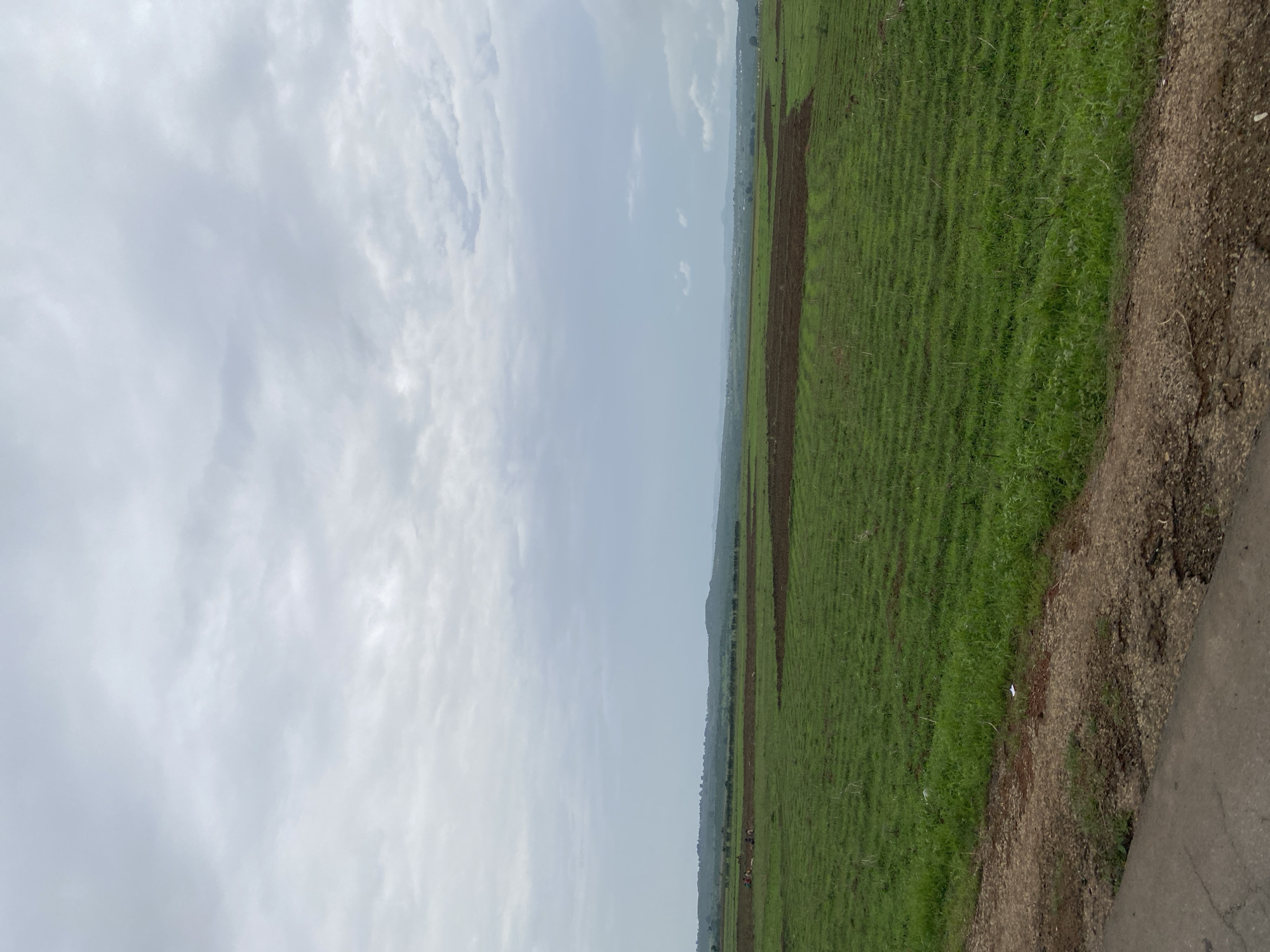 The image shows a landscape in Assob Hausa, Nigeria. On the right, there is a green field with linear patterns, possibly rows of crops. Patches of dark brown soil are visible within the field. A dirt path or road runs along the right edge of the field, transitioning into a concrete surface in the lower right corner. To the left of the field, the sky is overcast with light gray clouds. In the distance, a faint line of trees or hills is discernible along the horizon. No people or animals are clearly visible in the image.