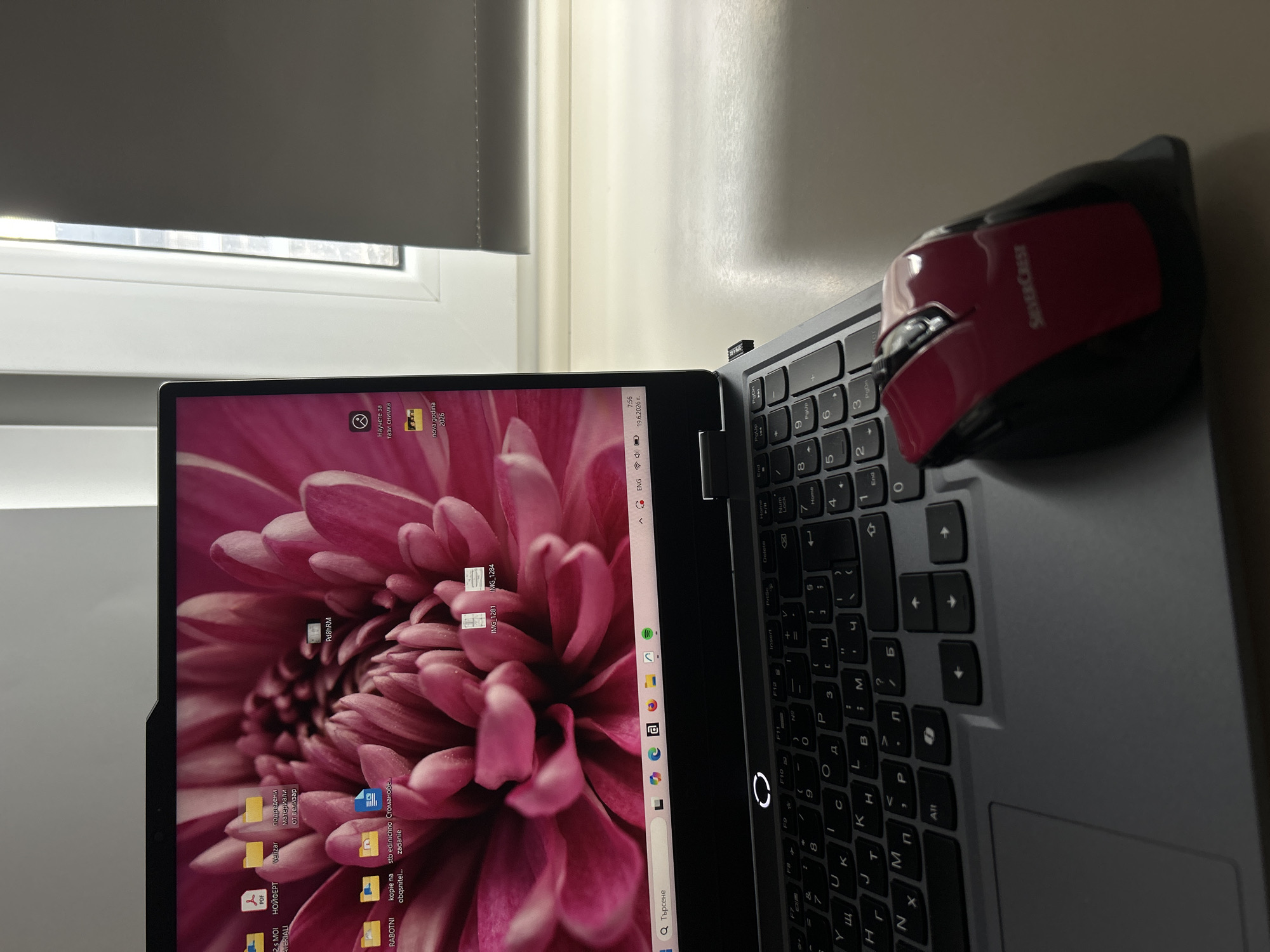 The image depicts a laptop with a pink chrysanthemum wallpaper, a red and black wireless mouse, and a USB dongle plugged into the laptop. The laptop screen displays various icons, including folders, PDF documents, and image files. The taskbar shows icons for search, browser tabs, and system status. The keyboard is visible, featuring Cyrillic characters. The scene appears to be a desk setup, with the laptop positioned near a window. The lighting suggests it is daytime, possibly late afternoon or evening, given the shadows. There are no people visible in the image. The overall setting is a modern indoor workspace.