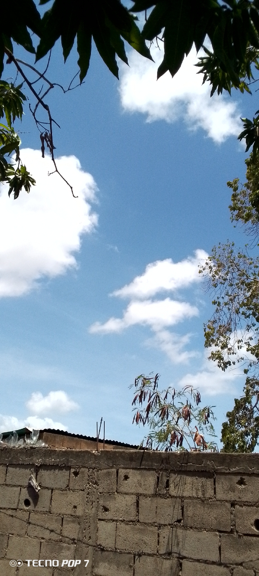 The image depicts a partly cloudy sky framed by foliage at the top of the image and a block wall and partial rooftops at the bottom. The sky is blue with scattered white clouds. The foliage consists of green leaves. The block wall is gray and made of rectangular blocks. Above the wall, a dark-colored rooftop is visible. There are some branches from the leaves. The image location is Altagracia, Venezuela, evidenced by a location tag. The overall scene appears to be a view from a low angle, looking upward towards the sky and trees above a walled-in structure. There are no people visible in the image.