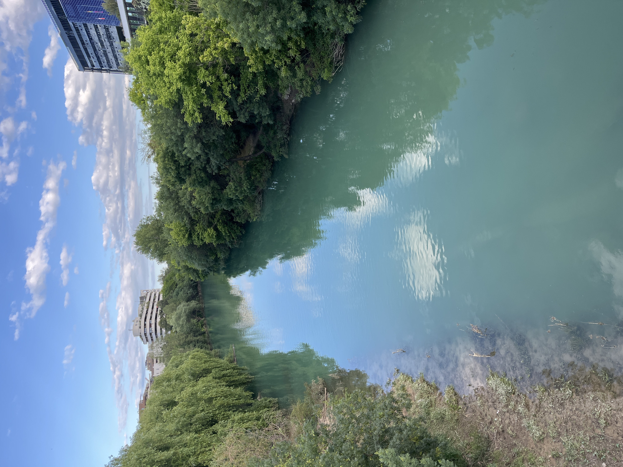 The image shows a waterway, likely a river or canal, in Montpellier, France. Buildings can be seen on either side, including a modern building with blue panels on the left. The water is a greenish-blue color and reflects the sky and clouds. Lush green vegetation lines the banks of the waterway, with trees and shrubs visible. The right bank shows exposed dirt and some debris in the water. No people are visible.