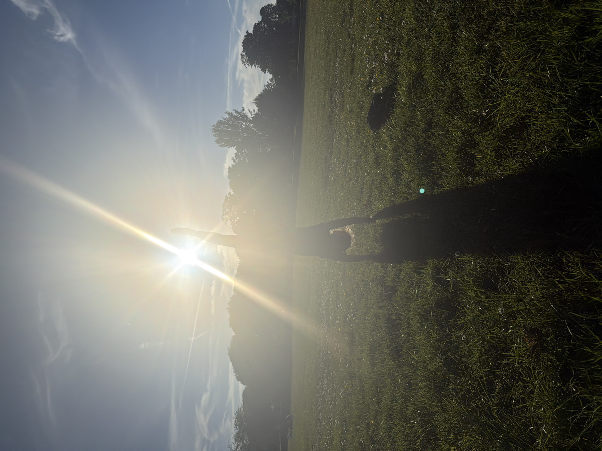 The image depicts a landscape with a person silhouetted against a bright sun in what appears to be a grassy park. The location is potentially in the city of London, United Kingdom, based on the environment and general aesthetics of the scene.
* **Environment:** Open grassy field, with trees visible in the background. The sky is bright blue with wispy clouds, and the sun is a prominent source of light, causing lens flare.
* **Subject:** A silhouetted figure, possibly a person.
* **Objects:** There is what looks like a black object on the grass.
* **Action:** The silhouetted figure is standing.
* **Interactions:** Not applicable due to the distance and silhouette.