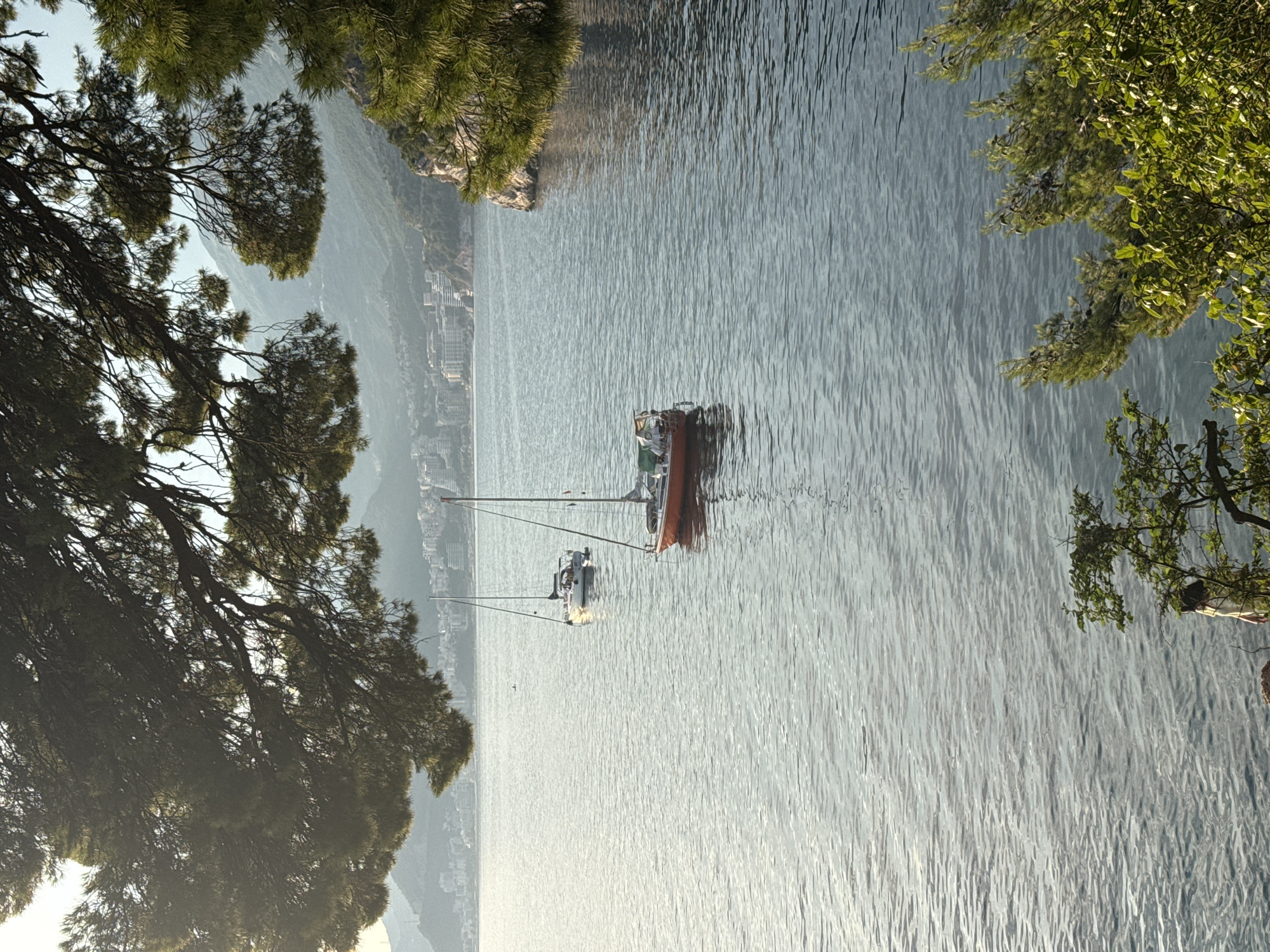 The image captures a serene seascape with a town nestled on the coast in the background, likely Sveti Stefan, Montenegro. Two sailboats are anchored on the calm, blue water. One sailboat, colored orange and white, is closer to the foreground, while a second, white sailboat is further out. Lush green trees and branches frame the top and right side of the image, suggesting the viewpoint is from a hillside or elevated position overlooking the bay. In the distance, a coastline dotted with buildings stretches across the horizon, backed by rolling hills shrouded in a light haze. The lighting suggests it is either early morning or late afternoon, with a soft glow illuminating the scene.