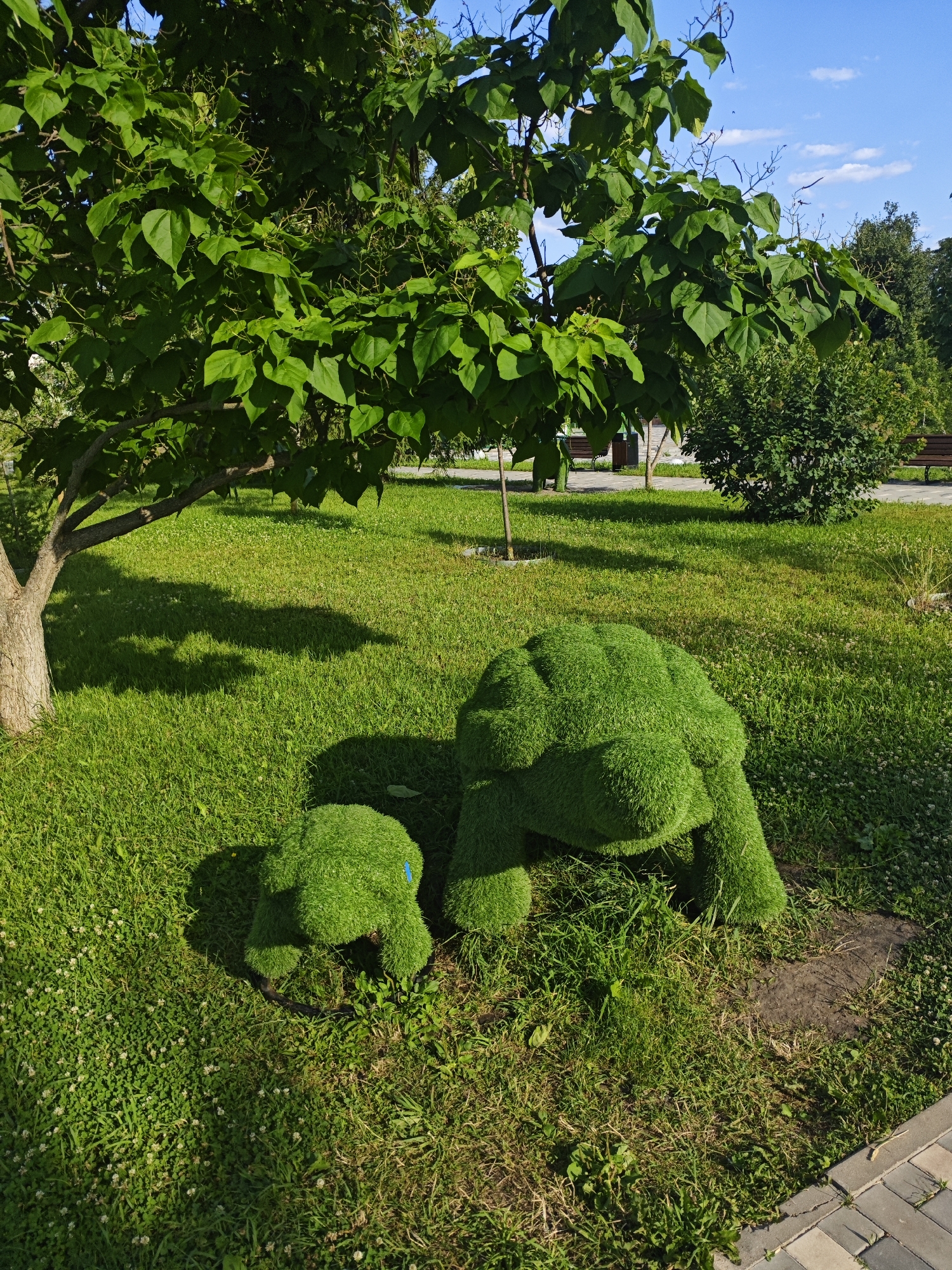 Two topiaries shaped like turtles, one large and one small, are situated on a grassy area in Novyy Oskol, Russia. The larger topiary is in the foreground, to the right, and the smaller one is to its left. Both are covered in green, artificial turf, giving them a vibrant, plush appearance. They are positioned on a patch of ground that appears slightly disturbed, with some exposed soil and a dark circular base visible beneath the larger topiary. A shadow from a large tree with green leaves falls across the grass to the left of the topiaries. In the background, a paved walkway with stone bricks is visible, with benches and more green trees and bushes lining it. The sky above is blue with scattered white clouds, indicating a clear, sunny day.