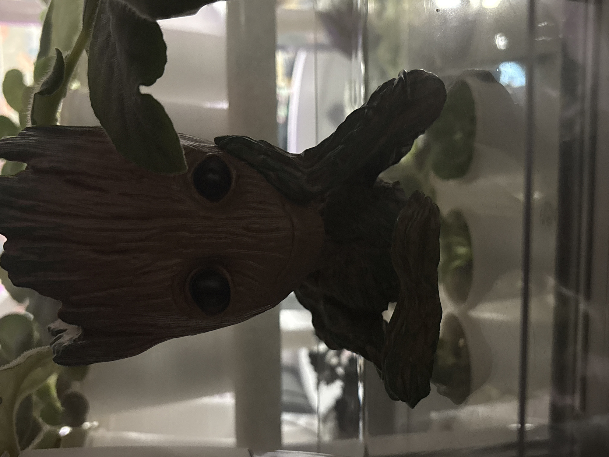 A close-up, slightly rotated, image features a small, wooden Groot figure surrounded by leafy plants, possibly African violets, within a reflective enclosure, likely a terrarium or glass container. The figure has a light brown, wood-grained texture for the head and dark brown arms. The background shows blurred white and green shapes, likely more plants and the interior of a building. No specific details indicating the location as Klin, Russia are visible.