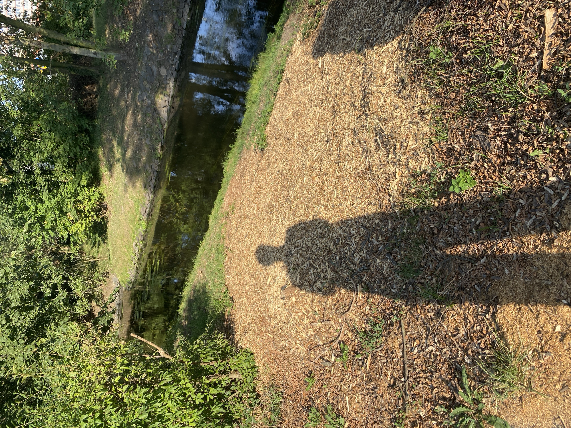 The image shows a shadow of a person standing on a path covered with wood chips. The path is next to a narrow, dark body of water, likely a canal or stream, lined with rocks and grass. Dense green foliage and trees form the background. The sun is casting a long shadow, suggesting it is either early morning or late afternoon. The location is identified as Bílina, Czechia.