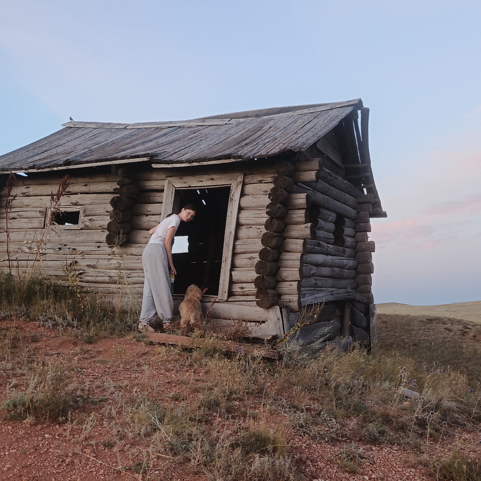 A young woman in a white t-shirt and grey pants stands outside an abandoned log cabin. She is looking down towards a small, golden-brown dog standing near the open doorway of the cabin. The cabin is weathered and appears to be in disrepair, with a sagging roof and broken window. The ground around the cabin is covered in dry grass and red dirt. In the background, rolling hills stretch towards a pale blue sky with hints of pink from the setting sun. The image seems to be taken in a rural, undeveloped area, likely outside of a populated settlement.