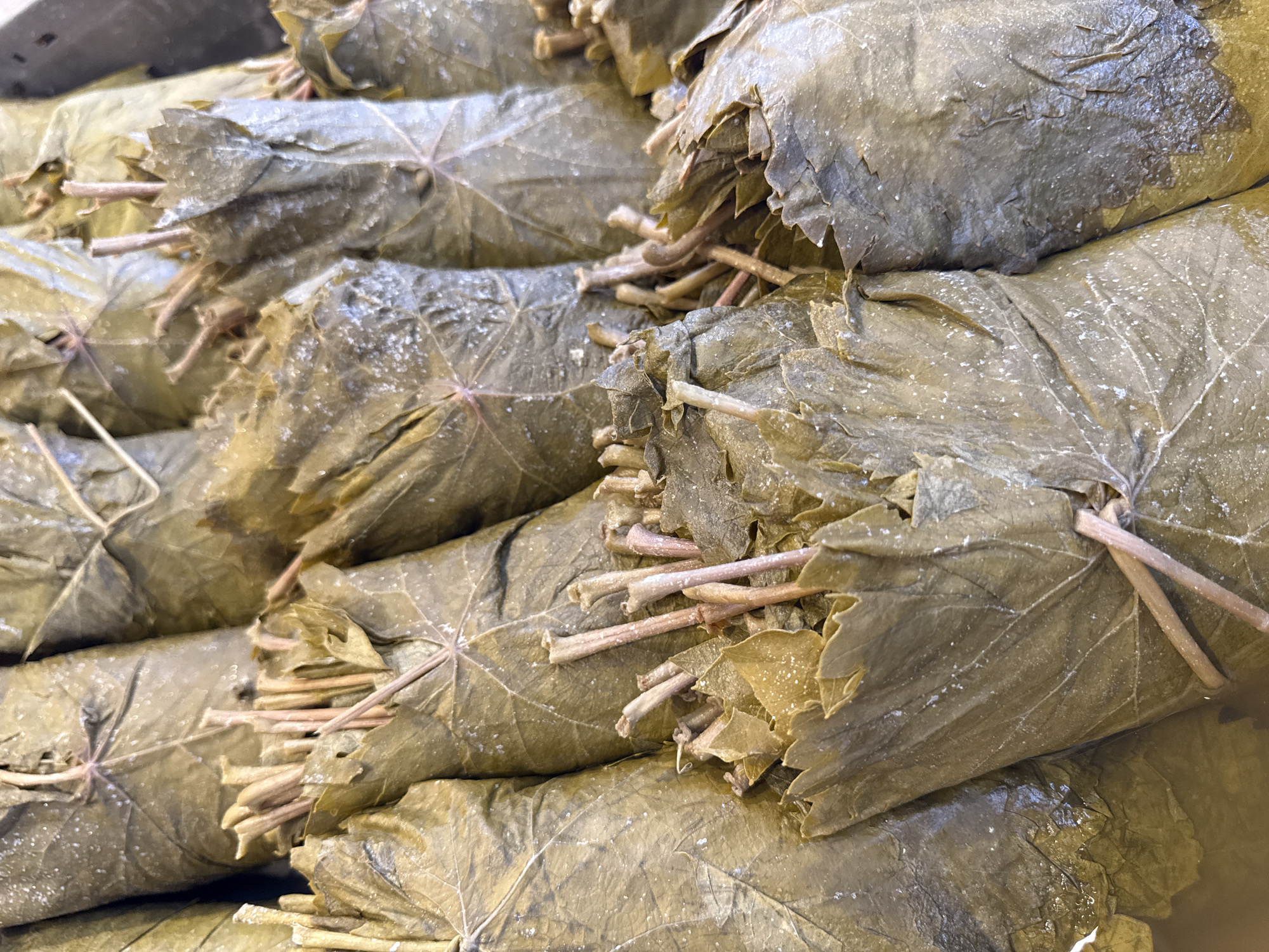 The image shows a close-up, overhead view of a tray filled with dolmas, a dish made of vine leaves stuffed with rice and other ingredients. The dolmas are tightly packed together, wrapped in large, green vine leaves with visible veins. Some of the stems of the vine leaves are protruding from the top of the dolmas. The dolmas appear to be in a liquid, possibly brine or olive oil, as some sheen is visible on the leaves. There are small white speckles on the surface of the leaves, which could be salt or residue from the brine. The lighting is natural and diffused, suggesting an indoor setting, possibly a market stall or a kitchen. The overall impression is one of abundant, freshly prepared food. The image is not specific enough to determine the exact location within Kadıköy, Turkey, but it is consistent with a food vendor or a home-cooked preparation.