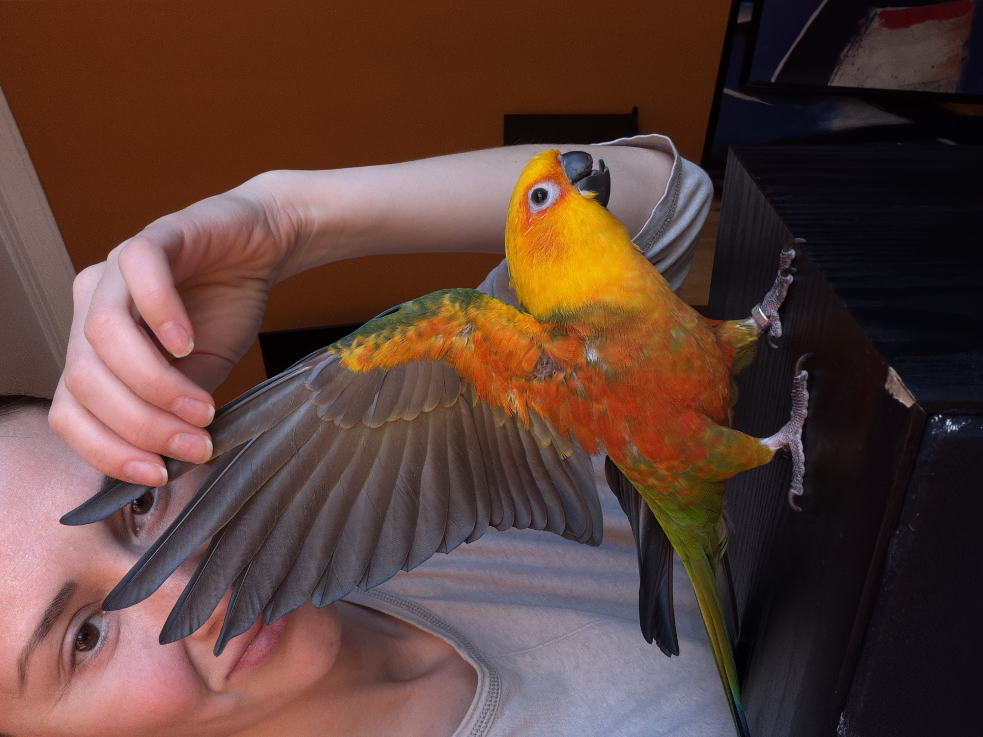 A woman is pictured with a colorful parrot. The parrot has its wings spread, with the woman's hand touching one wing. The parrot is perched on a dark-colored wooden surface. The background includes an orange wall. The location of Khimki, Russia, cannot be verified from the image.