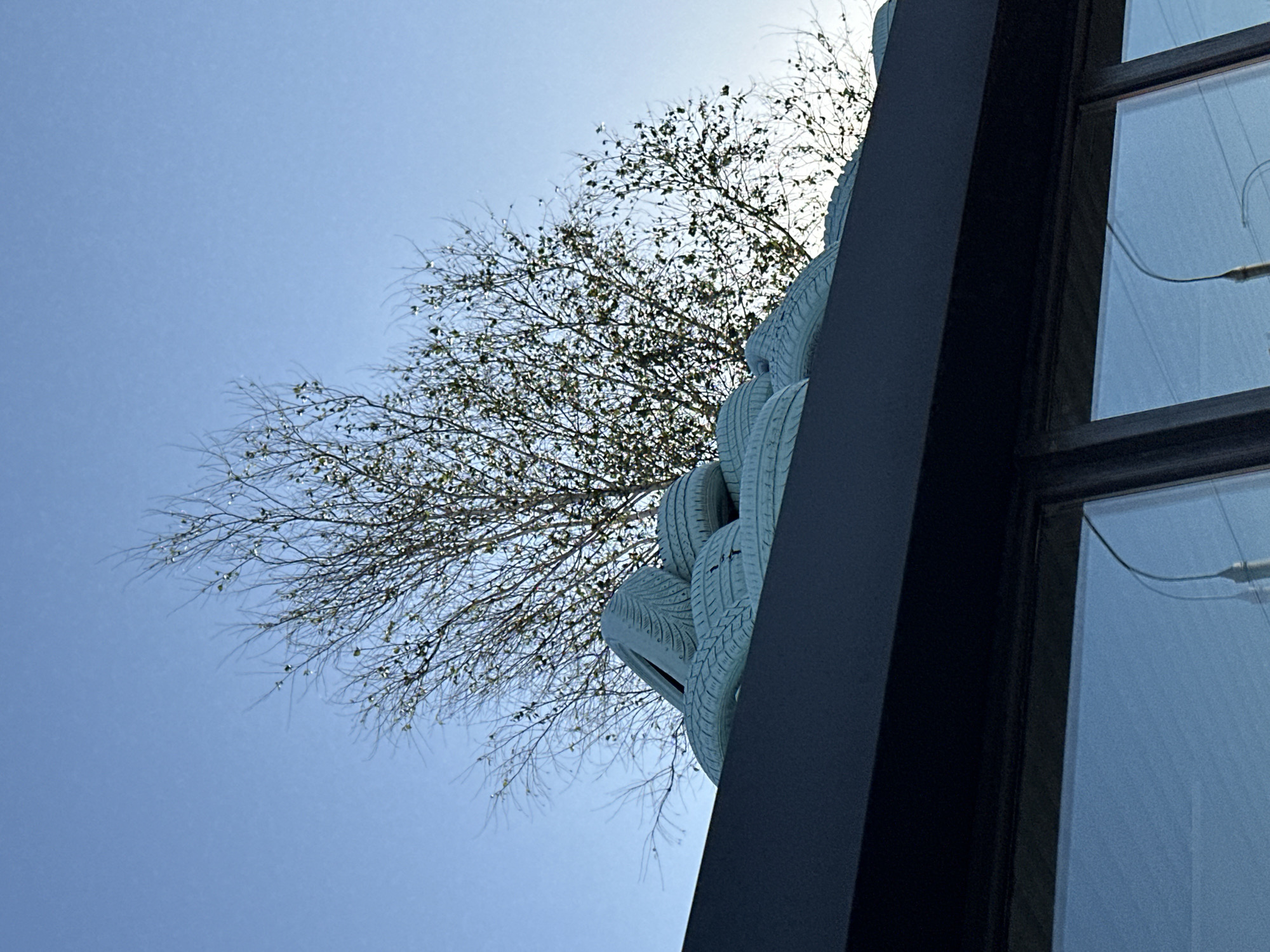 The image depicts a low-angle view of a sculpture of tires stacked to resemble a serpent or dragon. The sculpture is painted a light blue or gray color. Behind the sculpture is a tree with bare branches against a clear blue sky. To the right of the sculpture is the corner of a building with a window. The location is likely Minsk, Belarus based on the user prompt.