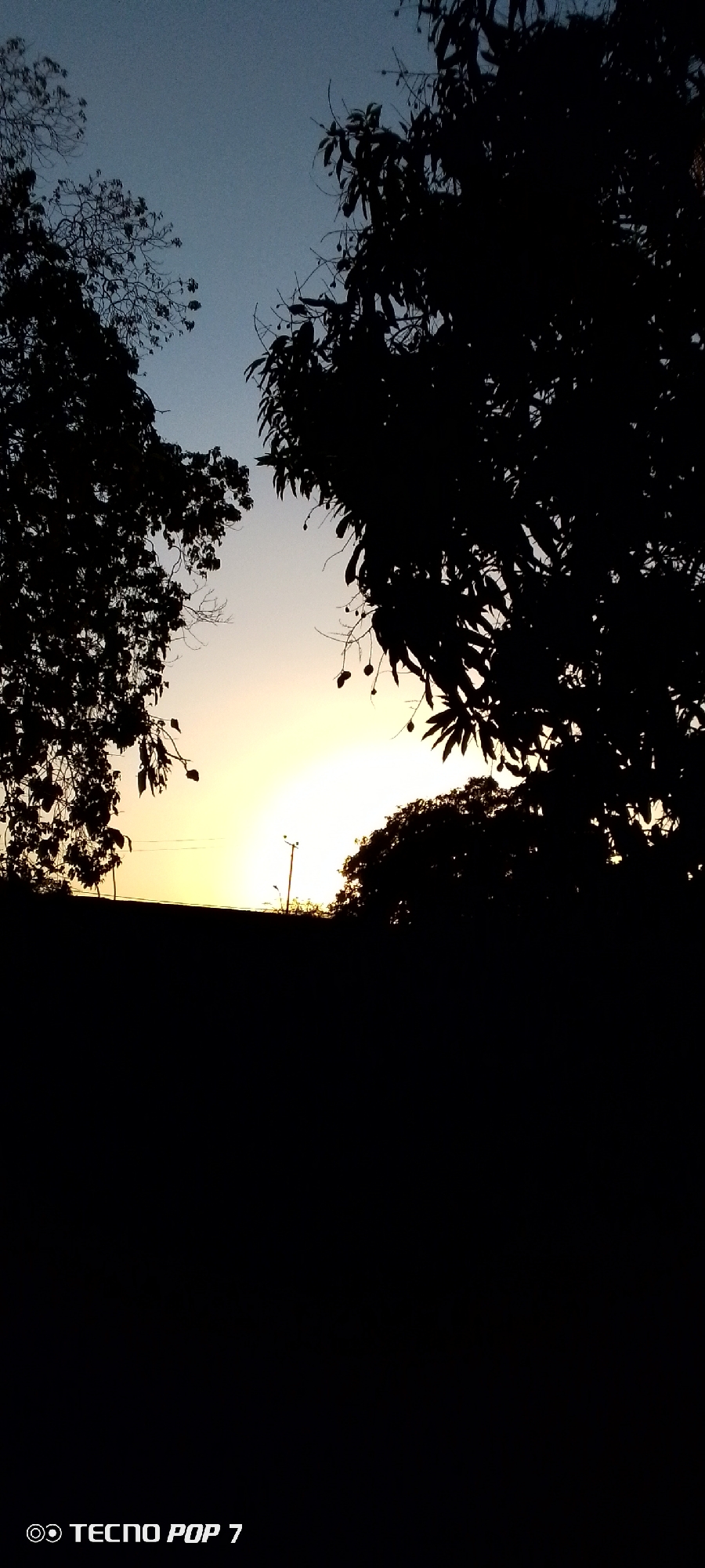 The image depicts a sunset scene in Altagracia, Venezuela, with the sun setting on the horizon. Silhouetted trees frame the top of the image. A dark, undefined area occupies the bottom portion of the photograph. A utility pole is visible in the distance near the sun. The sky transitions from a light blue at the top to a bright yellow near the horizon.