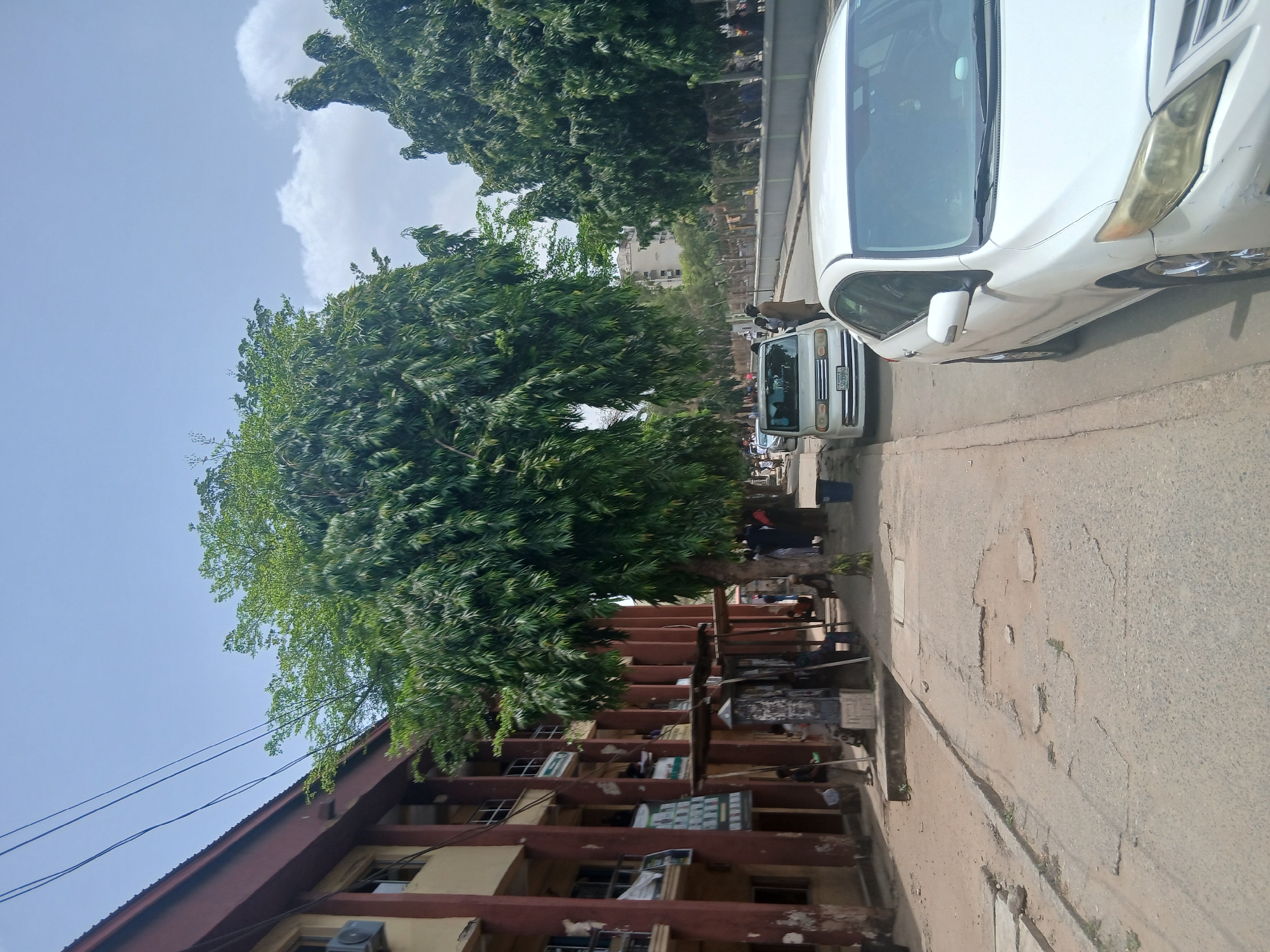 The image depicts a street scene in Lagos, Nigeria. A large, leafy tree dominates the foreground, partially obscuring a multi-story building with a red roof and light-colored facade. The building shows signs of age and wear. Along the sidewalk, makeshift stalls or stands are visible. The street itself is cracked and shows signs of disrepair. A white car is parked on the right side of the road, and other vehicles are visible in the distance. People appear to be present near the base of the tree and further down the street. The sky is partly cloudy.