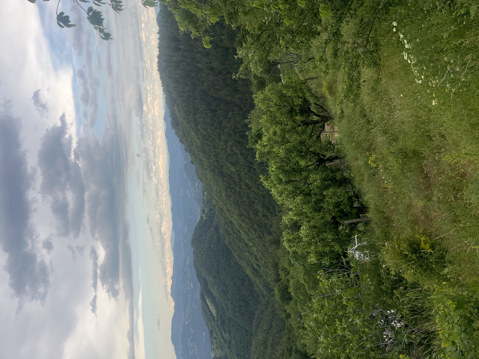 The image captures a vast, verdant landscape from an elevated viewpoint, overlooking rolling hills covered in dense green forests. The foreground features a grassy slope dotted with wildflowers and a few trees, some appearing to be fruit-bearing. A white structure, possibly a small shed or garden feature, is partially visible amidst the foliage in the middle ground. Beyond this, the terrain descends into a valley, with more densely forested hills stretching into the distance. The sky above is a mix of blue and scattered grey clouds, suggesting a dynamic weather system. The scene is devoid of any human presence or activity. The location is identified as Presoka, Bulgaria.