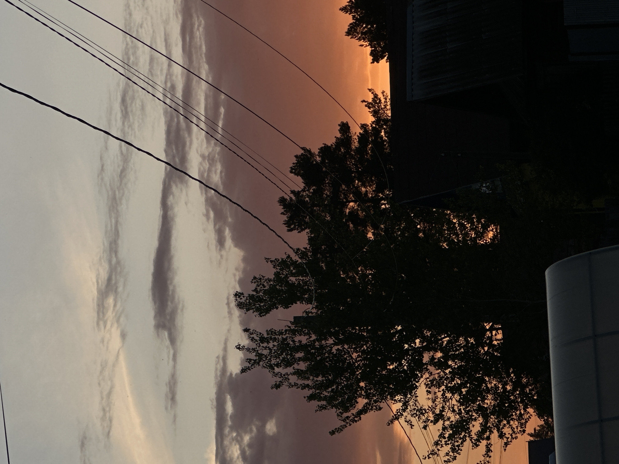 The image depicts a sunset in an urban area, likely near Rusalevka, Russia, as requested. Power lines are visible in the foreground against a sky with varying shades of light, ranging from orange near the horizon to gray higher up. A dark silhouette of a tree is present, obscuring some of the sky. A building is visible on the right, partly obscured by the tree. Another object, possibly a silo or tank, is on the right edge of the frame. The light suggests that it is either sunset or sunrise. No people are visible.