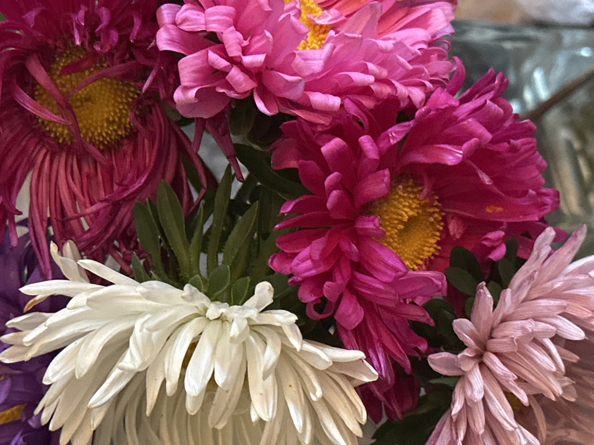 A close-up, brightly lit, indoor photograph showcases a vibrant bouquet of asters. The asters are arranged in a cluster, with their detailed petals prominently displayed. Several colors are represented, including white, a deep fuchsia, and lighter pinks, with hints of purple visible in the background. The centers of the fuchsia asters are a bright yellow. Green leaves are interspersed among the flowers. The background is soft and blurred, suggesting a shallow depth of field, with hints of a glass vase visible at the bottom right. The overall impression is one of fresh, colorful blooms. The image does not contain any specific details that would allow for identification of a location within Nevinnomyssk, Russia, or any particular environmental context beyond an indoor setting.