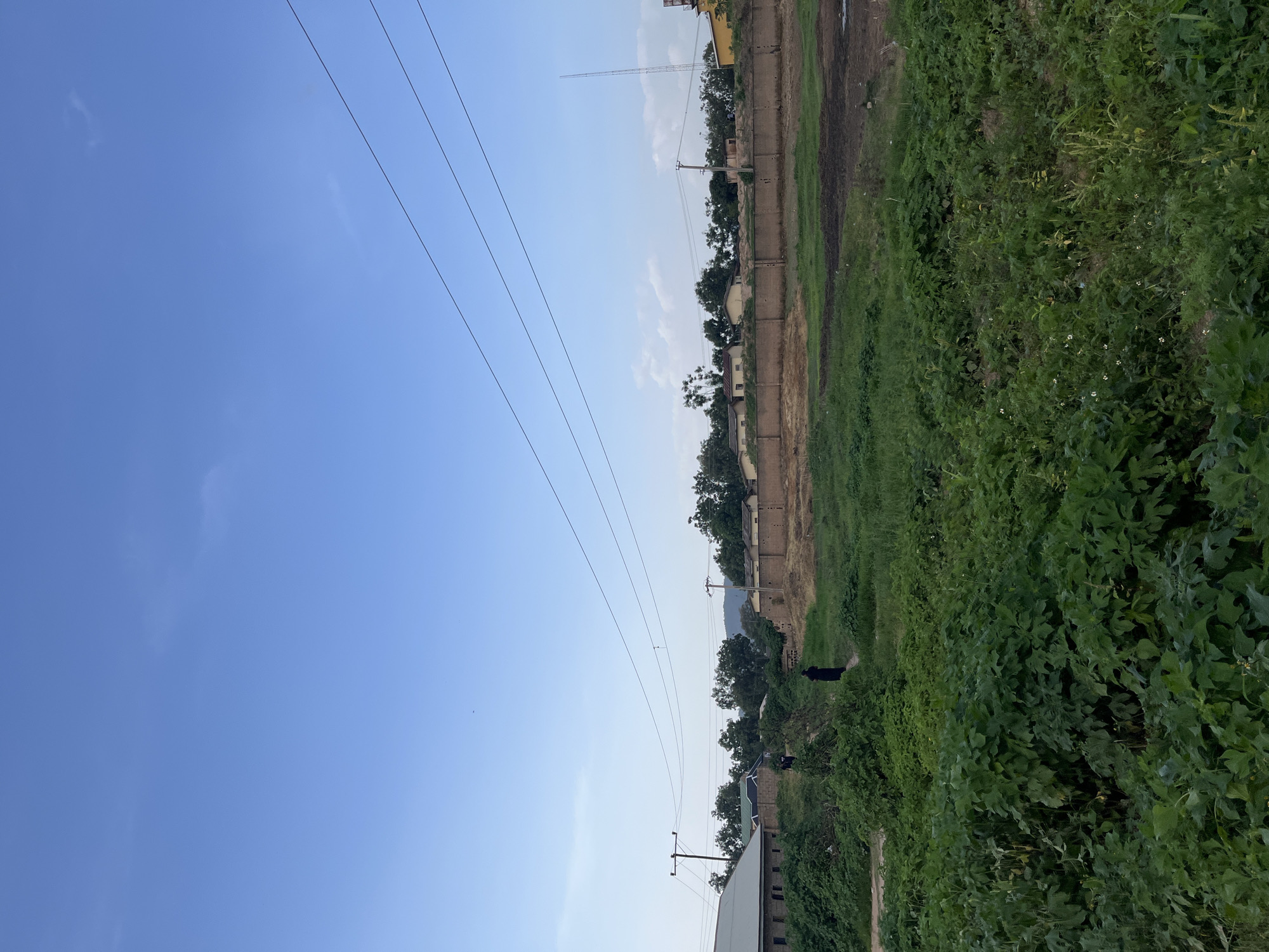 The image depicts a wide, outdoor scene in Rafin Par, Nigeria, under a clear blue sky with a few wispy clouds. In the foreground, lush green vegetation dominates, with dense foliage suggesting a natural or agricultural area. A path or dirt track winds through the vegetation. In the midground, a few figures, appearing to be people, are walking. They are dressed in dark clothing, with one figure more prominently visible in the center of the image. Beyond the figures, the landscape transitions to a more open, grassy area interspersed with patches of bare earth.
Further back, a low, brick wall runs horizontally across the scene, separating the open ground from a collection of buildings. These buildings appear to be houses and structures made of brick, with some having corrugated metal roofs. Trees are scattered throughout the midground and background, contributing to a sense of a semi-rural or developing urban environment. Power lines are visible stretching across the sky, supported by utility poles, indicating the presence of infrastructure. On the right side of the image, a tall communication tower can be seen. The overall impression is of a community in Nigeria, possibly on the outskirts of a town or village, with a mix of natural elements and human settlement.