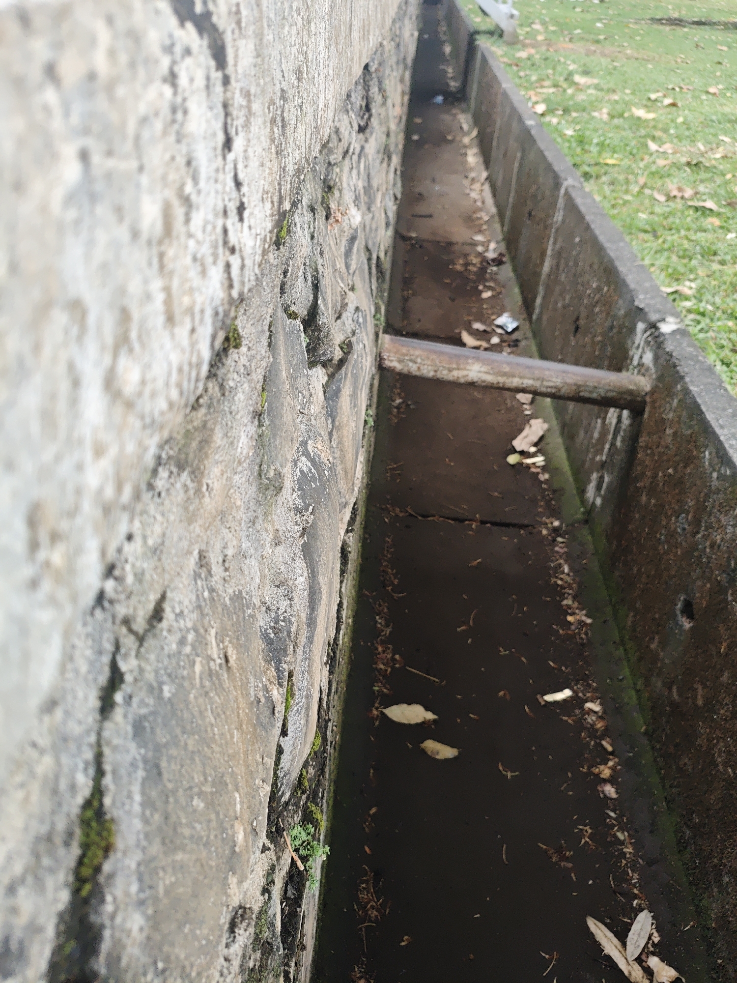 A close-up, shallow depth of field shot shows a concrete drain running alongside a stone wall. The drain is filled with dark, murky water and a scattering of fallen leaves. A rusty metal pipe juts out horizontally across the drain. Beyond the drain, a patch of green grass with scattered leaves is visible. The image appears to be taken outdoors, possibly in a park or along a street. The scene suggests an outdoor drainage system, likely in an urban or semi-urban environment within Bacin, Indonesia, given the context.