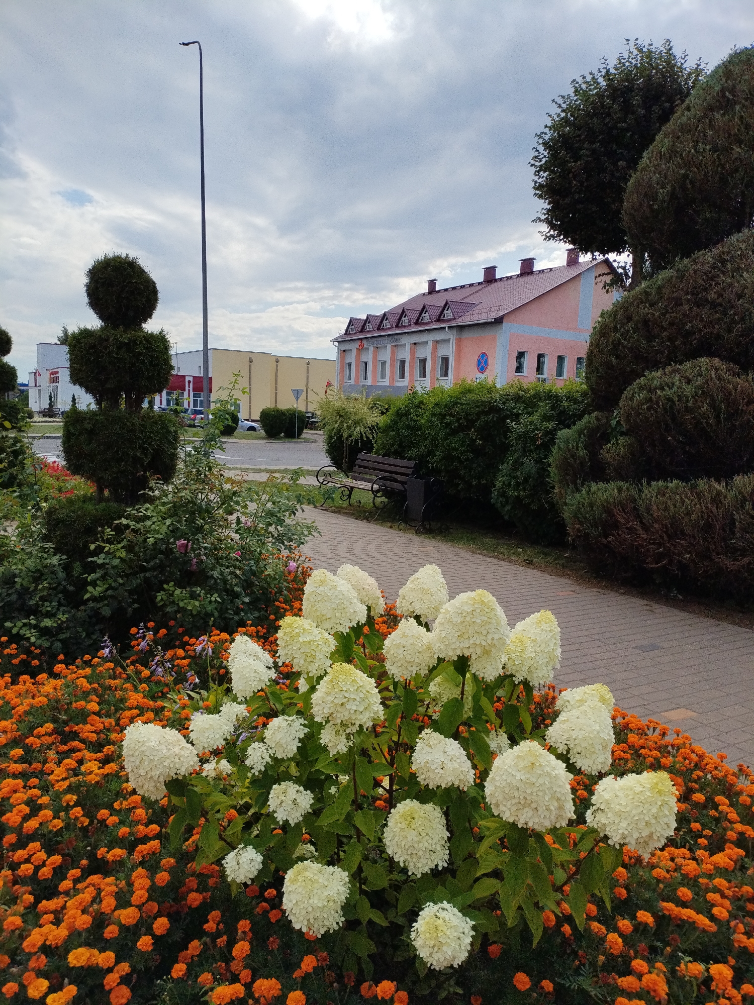 The image depicts a street scene in Bialynichy, Belarus, on a cloudy day. In the foreground, a meticulously landscaped flower bed features vibrant orange marigolds and large clusters of white hydrangeas. Behind the flowers, a paved walkway runs parallel to a street, with a dark wooden bench positioned alongside it. Further back, a row of neatly trimmed green shrubs and topiaries line the walkway. Across the street, a pale pink building with a red-tiled roof and multiple windows is visible, flanked by other structures and trees. A tall lamppost stands to the left of the frame, near one of the topiaries. The overall impression is one of an urban public space enhanced by decorative gardening.