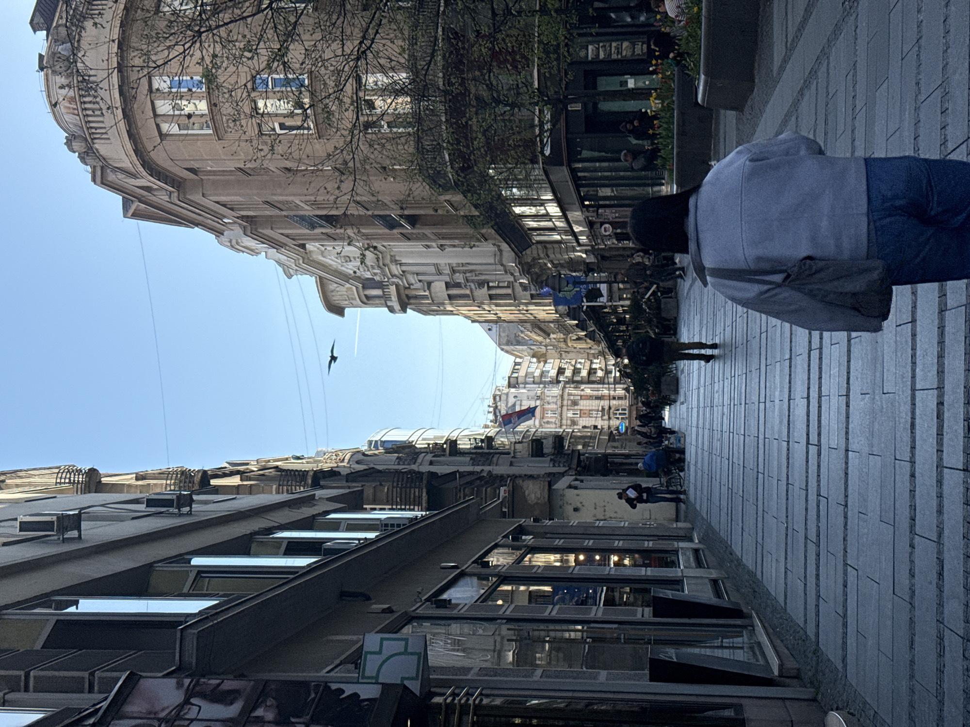 The image depicts a street scene in Belgrade, Serbia. The view is upward, looking down the street between tall buildings. The architecture is varied, with classical and modern designs. Pedestrians are walking along the street. A person is on the right side, walking in the same direction as the camera's view. A bird is flying in the sky. A Serbian flag is visible further down the street. The sky is blue. The street is paved with rectangular stone blocks.