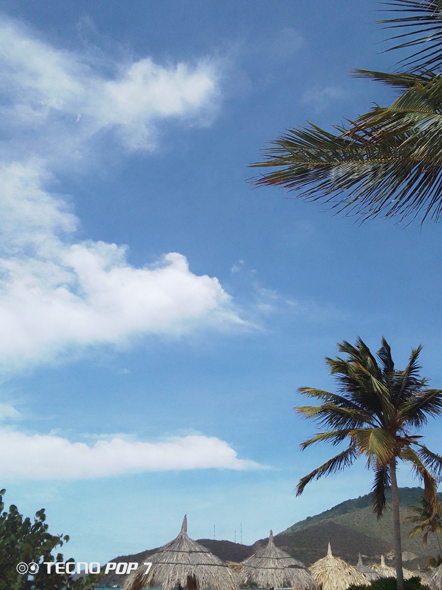The image shows a beach scene in Pedro González, Venezuela. The sky is blue with scattered white clouds. Palm trees are visible in the top right and bottom right corners of the frame. In the foreground, there are thatched-roof beach umbrellas or huts. Behind the umbrellas is a green, hilly landscape. The brand "TECNO POP 7" is watermarked in the lower left corner of the image.