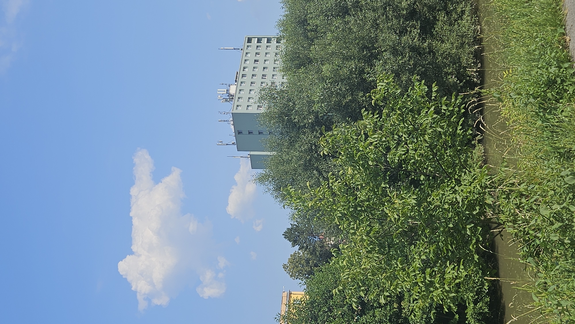 The image shows a light blue sky with a few fluffy white clouds. Below the sky, a tall, rectangular apartment building with a pale green facade is visible. The building has many windows and several antennas on its roof. The building is surrounded by dense green trees, and a yellow building is partially visible to the left. In the foreground, there is a body of water, possibly a river, with tall green grass and reeds growing along its bank. The scene appears to be a sunny day in a suburban or urban area, with the apartment building characteristic of Eastern European cities. This scene is consistent with views of residential areas in Prešov, Slovakia, where similar apartment blocks and green spaces are common. There are no people or animals visible in the image.