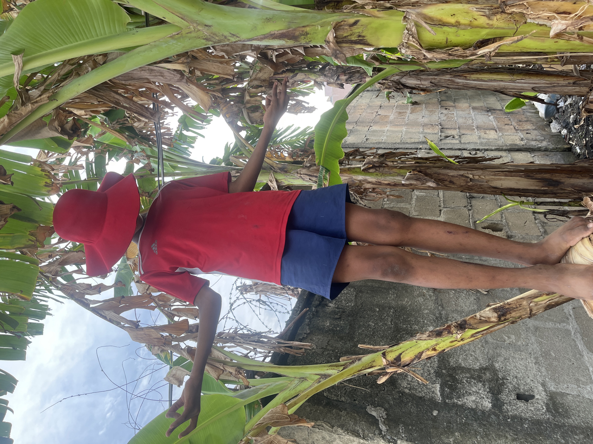 A person wearing a red shirt, blue shorts, and a red hat is standing amongst banana trees. They are barefoot, and their right hand is reaching upwards. The background includes a cinder block wall and barbed wire. The sky is visible through the trees, suggesting an outdoor location in Iranla, Nigeria. The presence of banana trees indicates a tropical climate. The cinder block wall suggests some sort of structure or barrier.