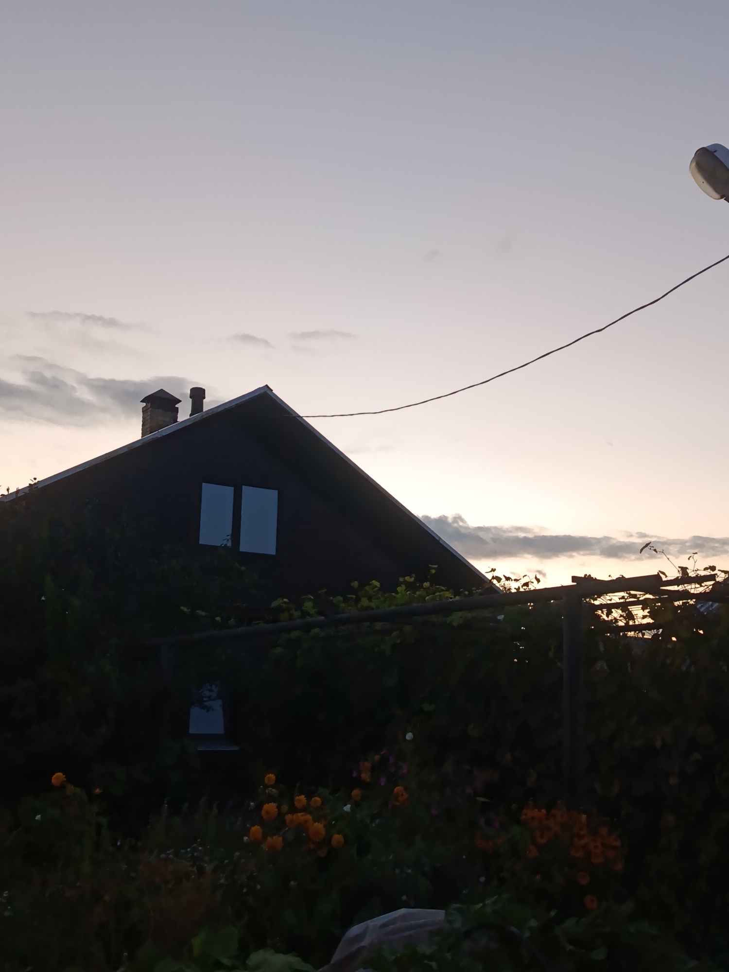 The image shows a dark wooden house with a gabled roof and two square windows. A brick chimney is visible on the left side of the roof. In front of the house, there is dense green foliage and some orange flowers. A trellis or fence runs horizontally across the mid-ground, supporting more greenery. The sky is a pale, gradient of gray and pink, suggesting either dawn or dusk. A streetlamp on a pole is visible in the upper right corner, connected to a wire that stretches across the frame. The scene appears to be a residential area in Verea, Russia, likely a private property with a garden.