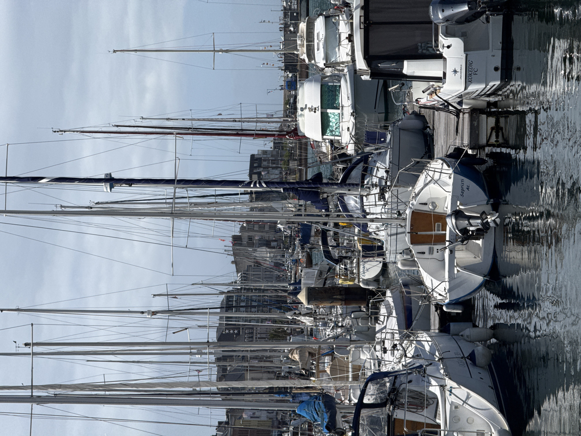 The image, captured in portrait orientation and then rotated 90 degrees clockwise, showcases a vibrant marina in Fécamp, France, on a bright, partly cloudy day. The scene is densely packed with numerous boats, predominantly white-hulled sailboats, their towering masts and intricate rigging forming a complex network across the left side of the frame (upper part when correctly oriented). Interspersed among the sailboats are several motor yachts, moored alongside a wooden pier.
The water on the right side of the image (lower part when correctly oriented) is calm with subtle ripples, clearly reflecting the boat hulls, docks, and the sky. In the background, beyond the immediate cluster of boats, various urban buildings line the distant shore, suggesting a town setting.
Notable text visible on the boats includes:
* On a white motor yacht: "JEANNEAU" (a boat manufacturer) and the name "KOKEDIG FC".
* On the stern of a white sailboat: "Sapristi Ac.".
* On another white sailboat's stern: "Edorian P.".
* On a larger white sailboat's stern: "OCEANIS 35", likely indicating its model.
The clear sky and bright illumination suggest it is daytime, possibly morning or afternoon. The tranquil water indicates light winds. The overall impression is that of a bustling yet peaceful harbor scene, with no specific human activity clearly discernible.