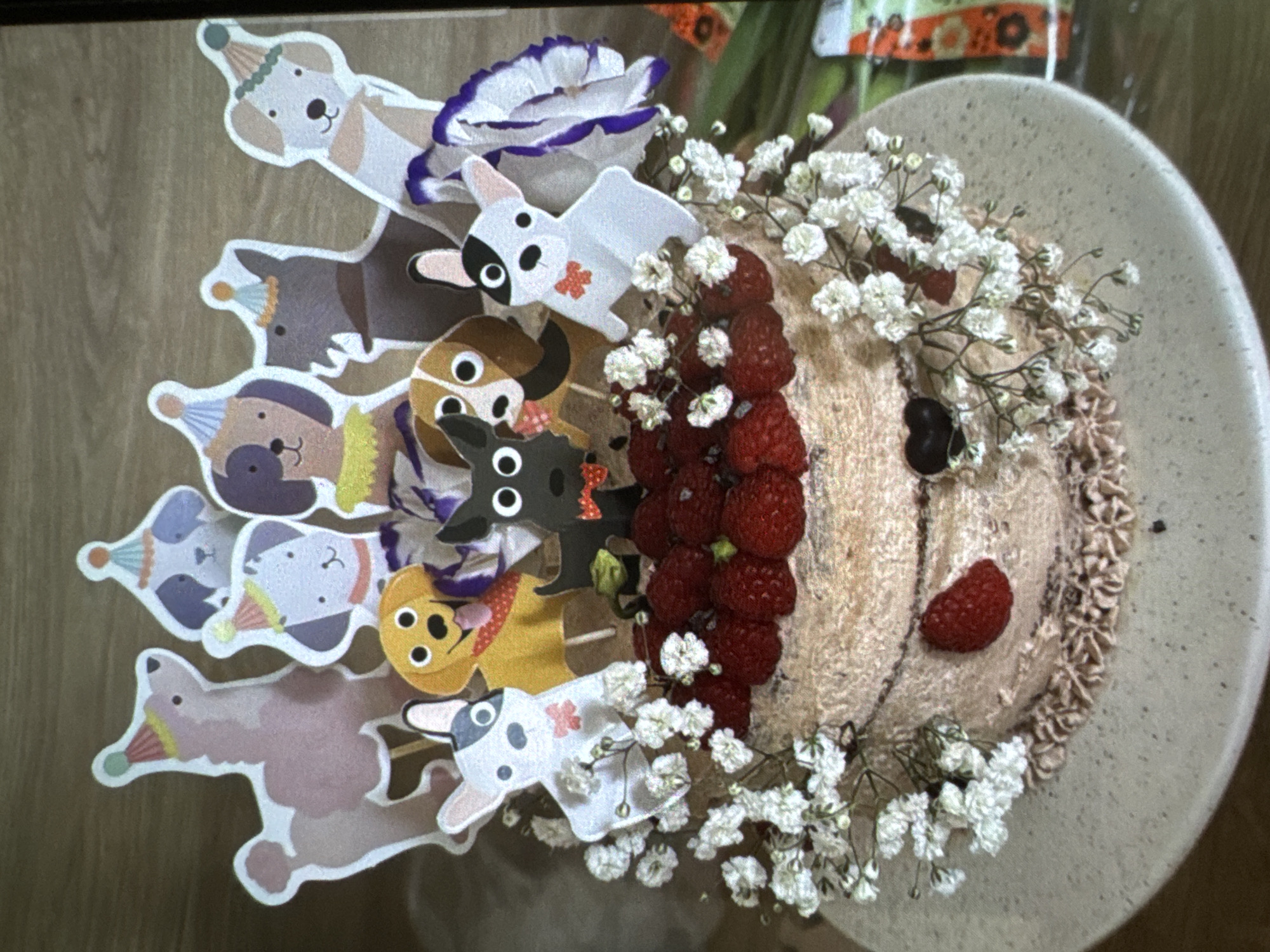 The image displays a multi-layered celebratory cake, elaborately decorated and positioned on a light-colored, speckled ceramic plate. The cake features a light brown or tan frosting with textured vertical lines and piped frosting details around the base of each layer. The top surface of the cake is densely covered with numerous fresh, red raspberries. Draped around the sides of the cake are delicate sprigs of small white flowers, resembling baby's breath.
Numerous dog-themed cutouts, appearing to be made of paper or cardstock, serve as cake toppers. These dog figures are depicted in various poses and styles, many wearing party hats or accessories. From left to right on the top tier, visible dog toppers include: a pink poodle with a pink and yellow party hat; a white and grey spotted dog with a blue and orange party hat; a white dog with brown spots and a yellow and orange party hat; a dark grey dog with a yellow ruff and a party hat; a light beige dog with a green and orange party hat. On the lower tier, closer to the cake, are more dog figures: a white French bulldog with black patches and a red bow tie; a yellow dog with a red bandana; a black dog with prominent white eyes and a red bow tie; and a brown and white dog. A large purple and white pleated paper fan or flower decoration is positioned behind the dog toppers on the right side of the cake.
A single raspberry and a small, dark, heart-shaped chocolate or decoration are visible on the side of the bottom cake layer. The cake and plate rest on a surface that appears to be light-colored wood grain. In the blurred background to the right, a colorful, patterned item, possibly a gift or packaging, is partially visible. No discernible features within the image indicate a specific location in the city of Vratsa, Bulgaria, or any other geographical location. The scene suggests an indoor setting, likely a table prepared for a celebration.