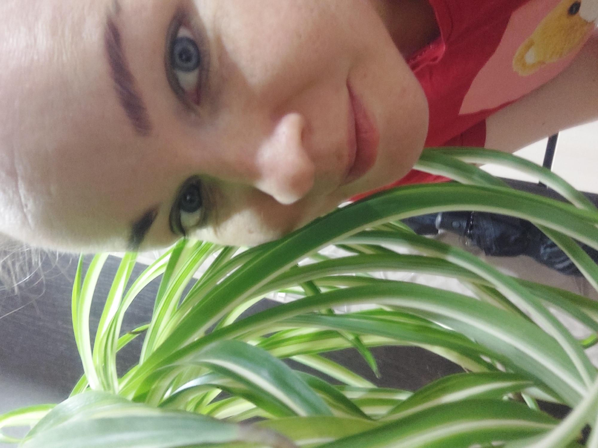 A pale-skinned woman with blue eyes is positioned close to a spider plant. The woman wears a red shirt. The background includes a dark surface and glimpses of a white wall. The location is Большой Букор, Russia.