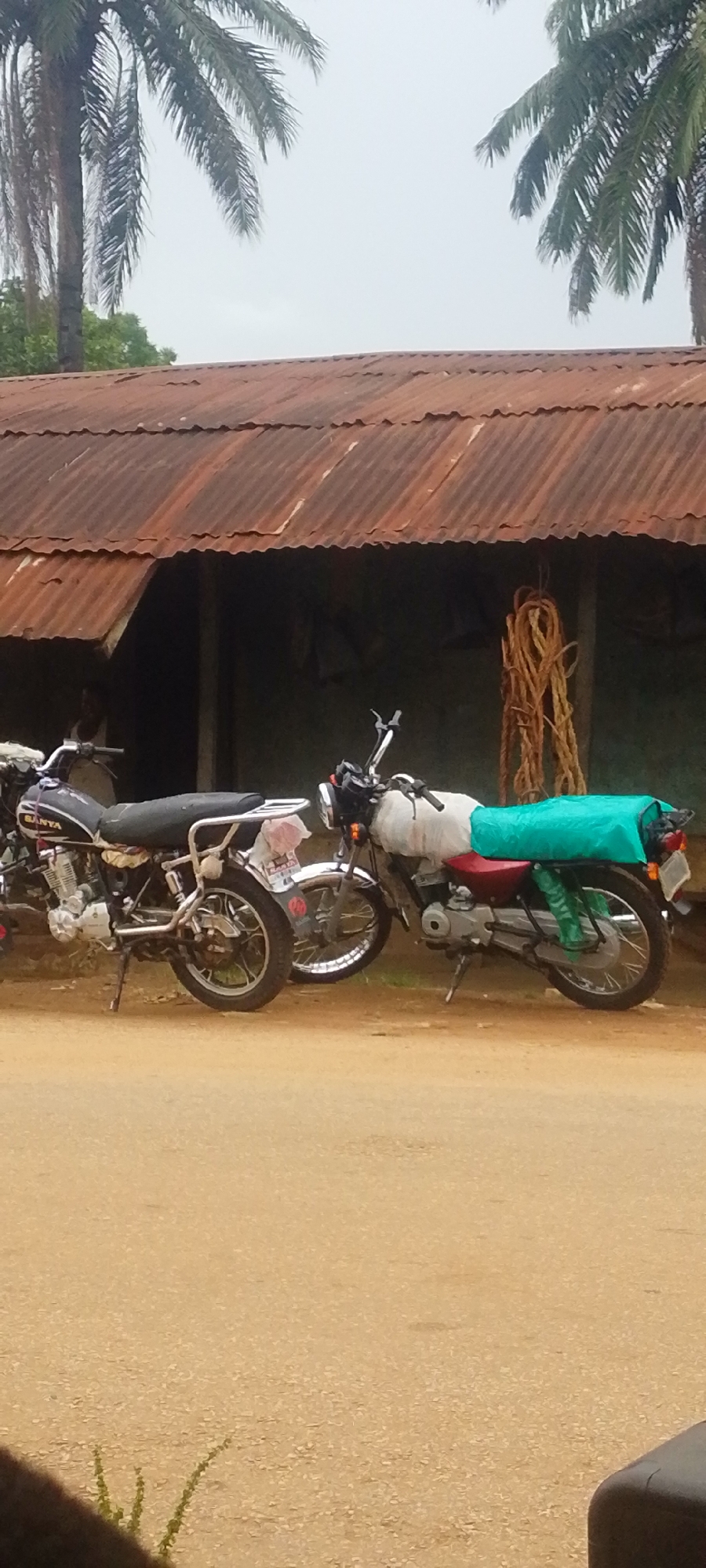 Two motorcycles are parked on a dirt road in front of a weathered, corrugated metal building with a rusty roof. The building appears to be a shop or small dwelling. Behind the building, a pile of thick, coiled ropes hangs from the eaves. The scene is under an overcast sky, suggesting a cloudy day, possibly humid. Tall palm trees with feathery fronds are visible in the upper portion of the image, framing the sky. The motorcycle on the left is black with silver accents and has "BANTA" visible on its side. The motorcycle on the right is partially covered with a white sheet and a bright teal tarp over its rear seat and cargo area. The ground is a light brown, dusty dirt road. A few small green plants are growing at the bottom left of the frame. No people are clearly visible. The overall impression is of a rural or semi-rural setting in a tropical or subtropical climate.