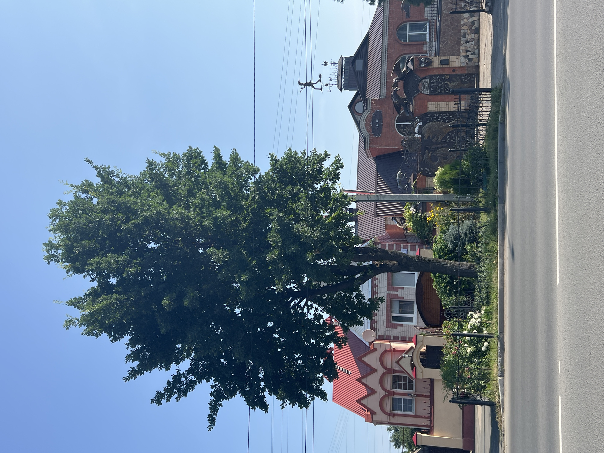 The image depicts a street view in Balakovo, Russia, on a clear, sunny day. In the foreground, a paved road with white lane markings is visible. Behind the road, a green grassy area with a black metal fence separates the sidewalk from a property. A large, mature tree with dense green foliage dominates the center of the frame, partially obscuring the view of the houses behind it.
To the left of the tree, a building with a pinkish facade and a red, zigzag-patterned roof is situated. It has arched window openings and a prominent arched entrance. Adjacent to this building, to the right of the tree, is another structure constructed with red brick and white decorative elements. This building has a dark-colored roof with multiple peaks. A weather vane with a figure resembling a person on a broomstick is mounted on a rooftop structure. The entrance to this property is elaborate, featuring ornate black metal gates with decorative figures, possibly depicting dragons or other mythical creatures, and a stone facade.
The environment is urban or suburban, with overhead power lines running across the sky, indicating the presence of infrastructure. The sky is a clear, bright blue, suggesting fair weather. There are no people visible in the image. The scene is static and captures the architecture and landscaping of the property.